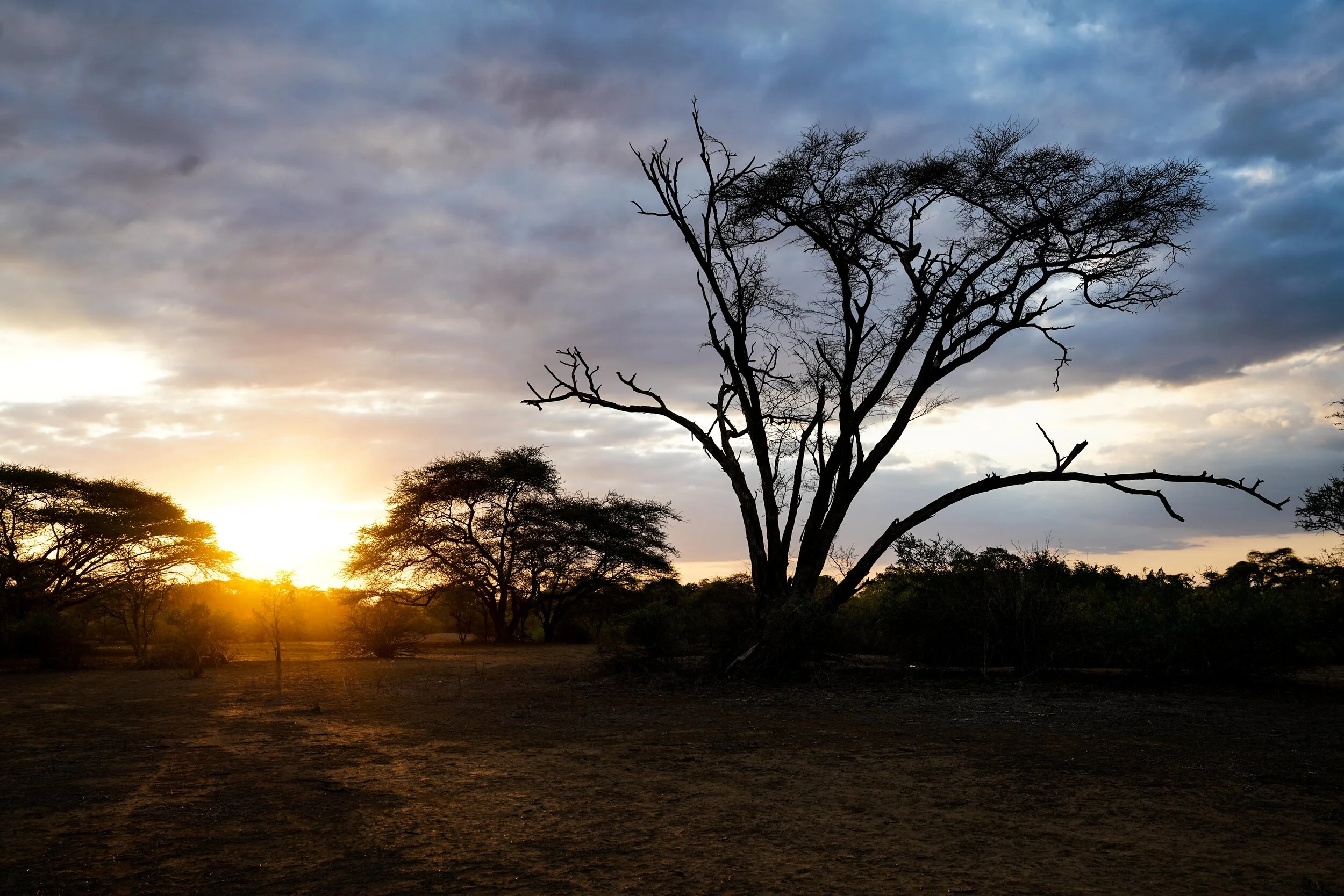 Is there any place on earth that isn’t best at sunrise? 