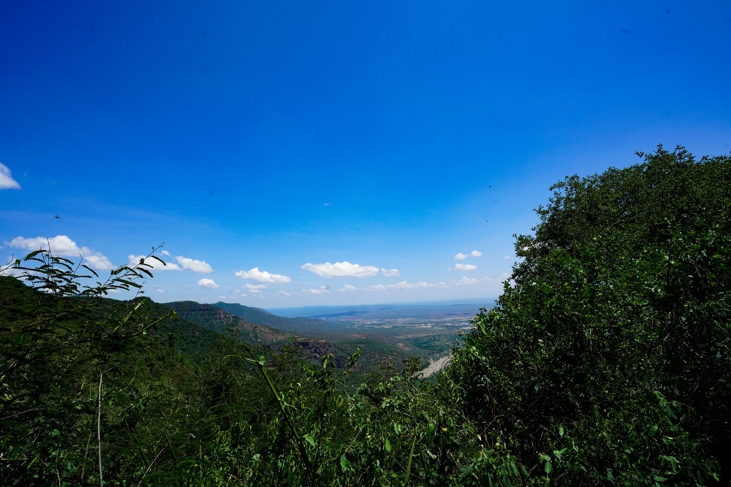 There’s lots of chances to turn back and photograph the growing expanse laid out below.  That truck will be stuck for at least two hours, it turns out. I’m walking alone through the high Kenyan landscape.  Mark has told me that the hills are full of