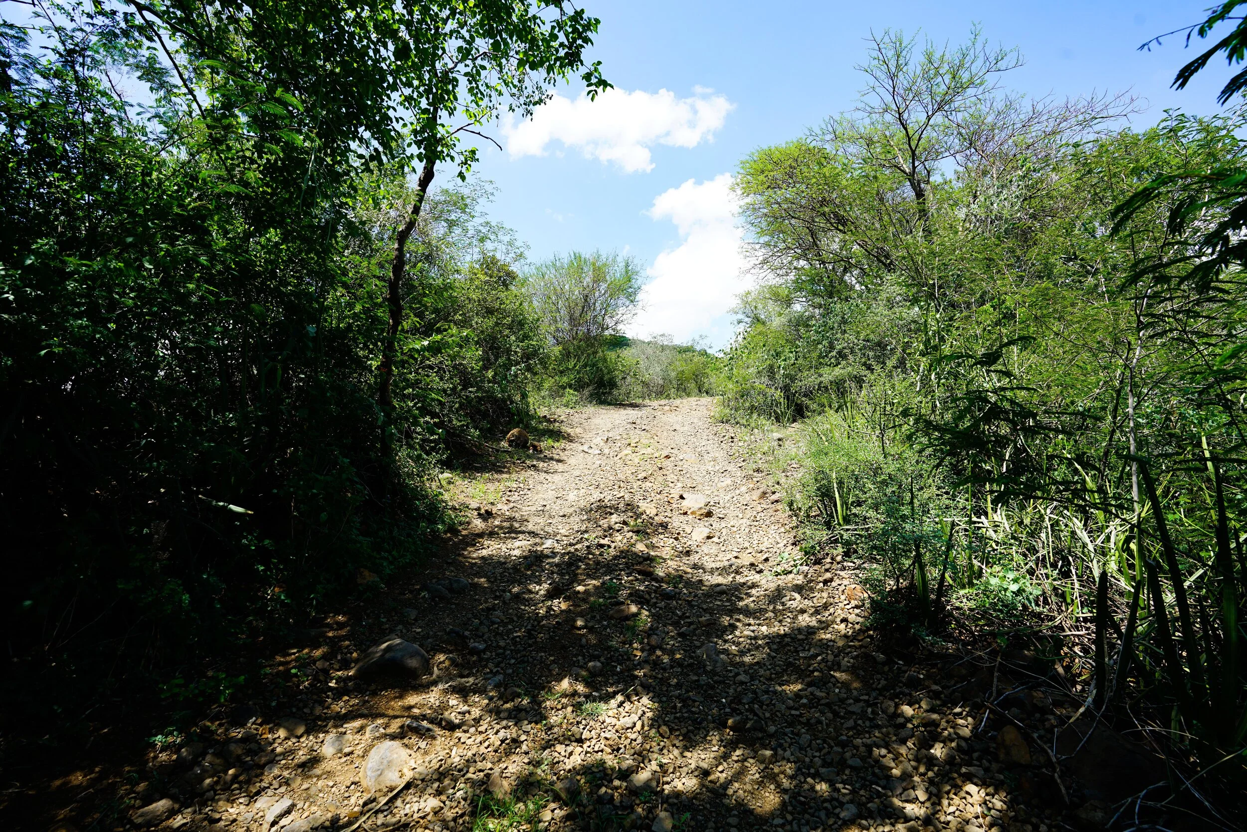  It’s steeper than it looks.  