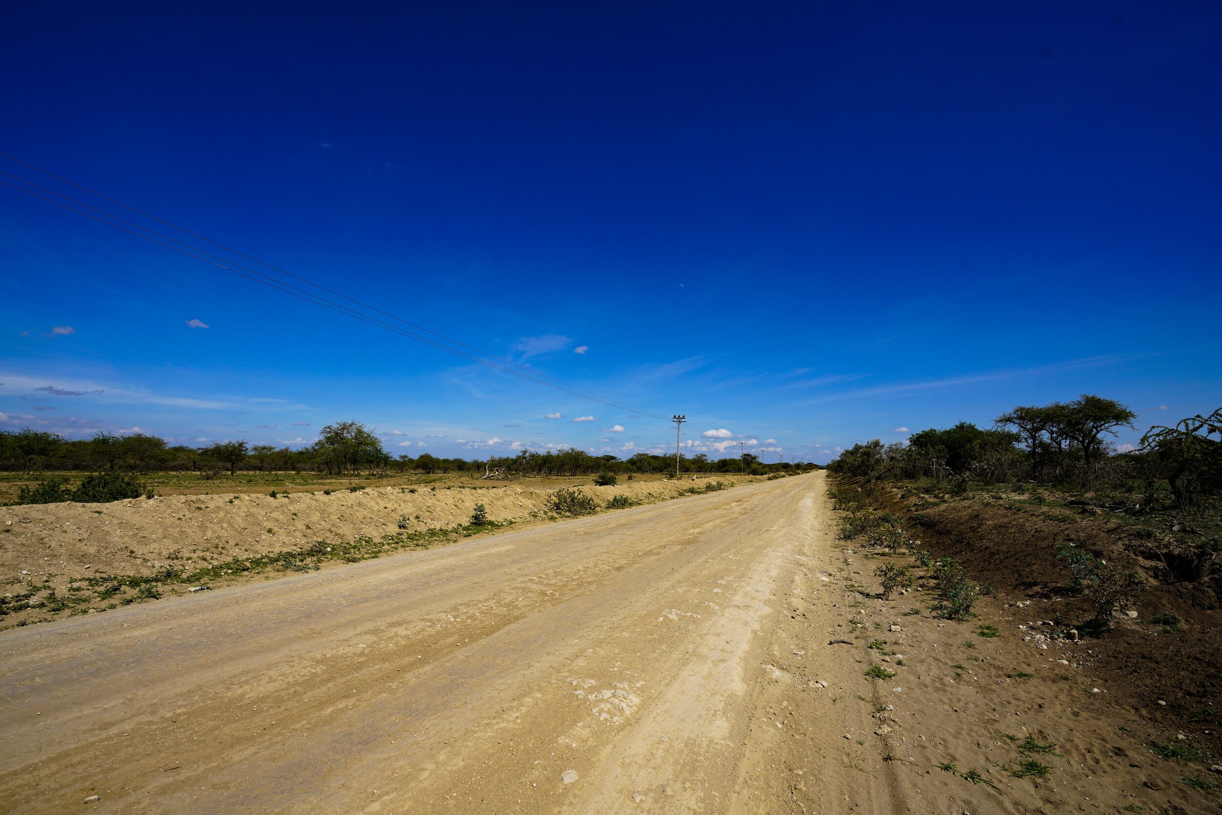 DSC01272.jpg