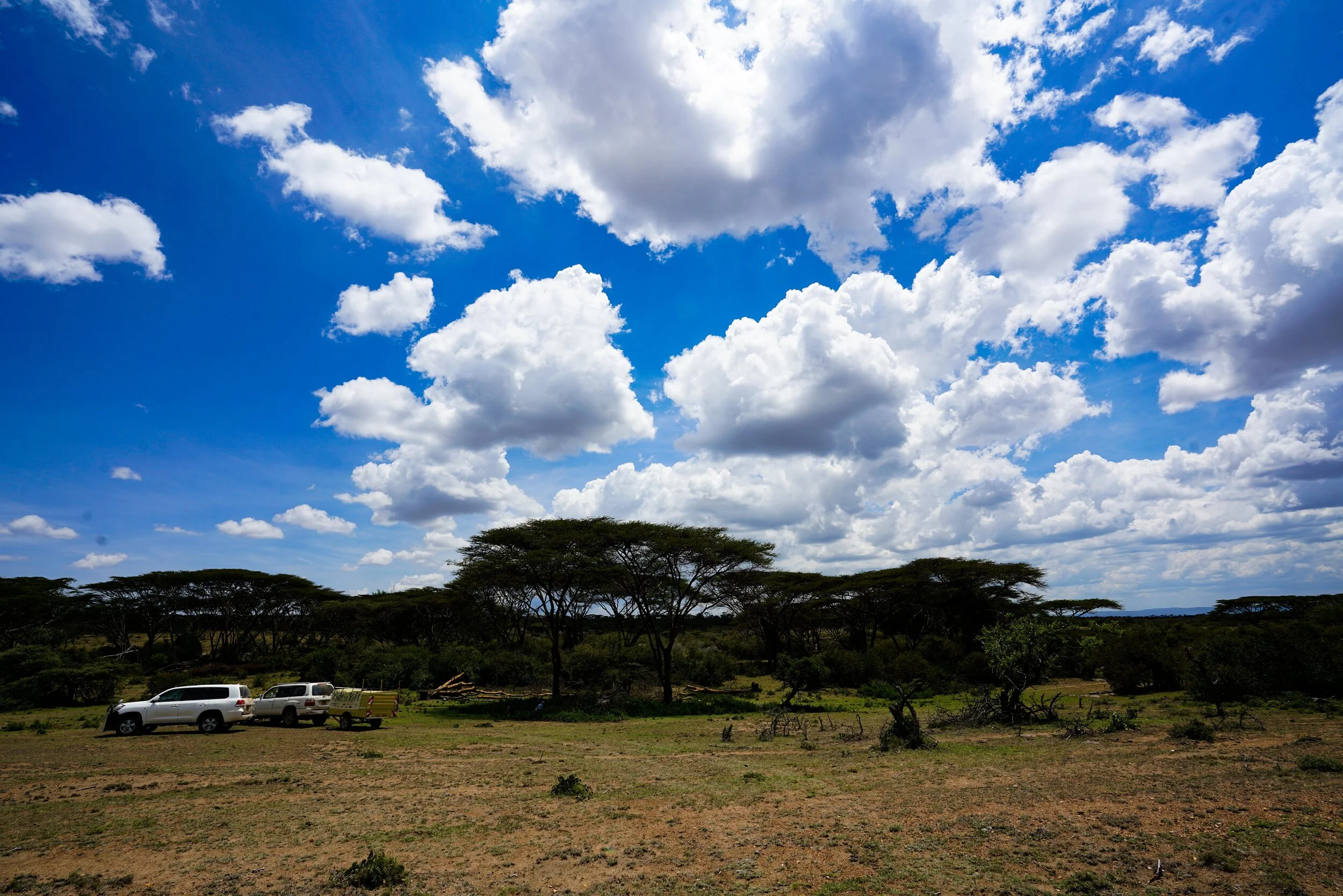  Bada-boom!  We’ll camp here.  There’s a river just out of sight in that tree line and monkeys scampering in the canopy.   