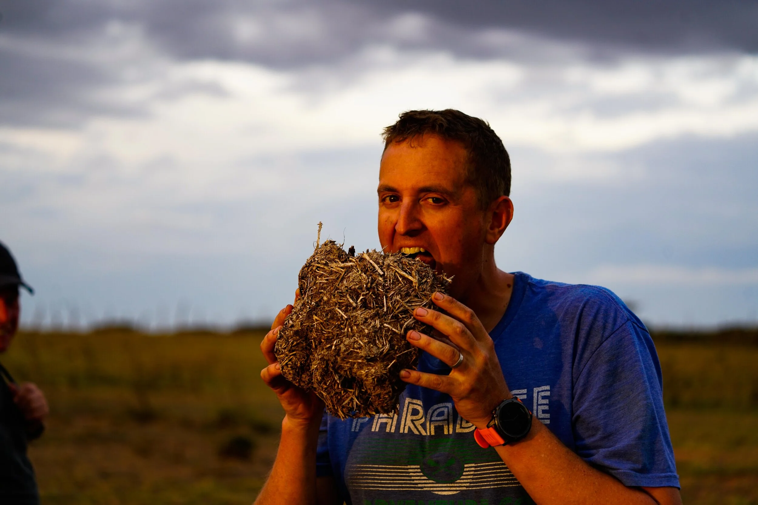  I want a photo to illustrate the size of an elephant poo, so James grabs one and starts to threaten to eat it…  