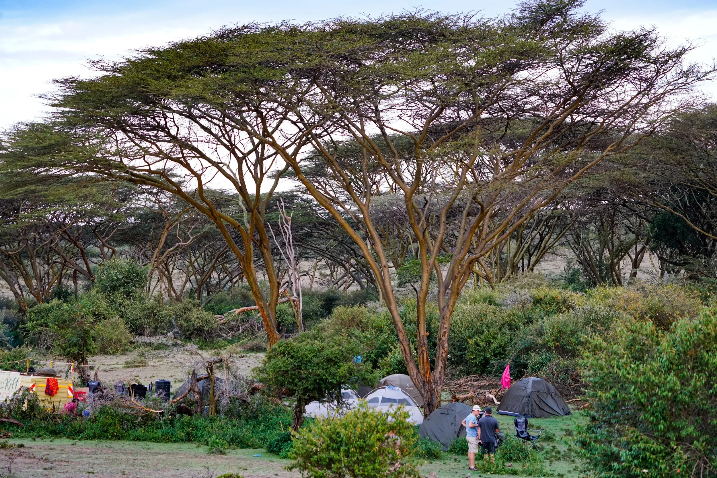  The hum and life of a camp where nothing was before.  