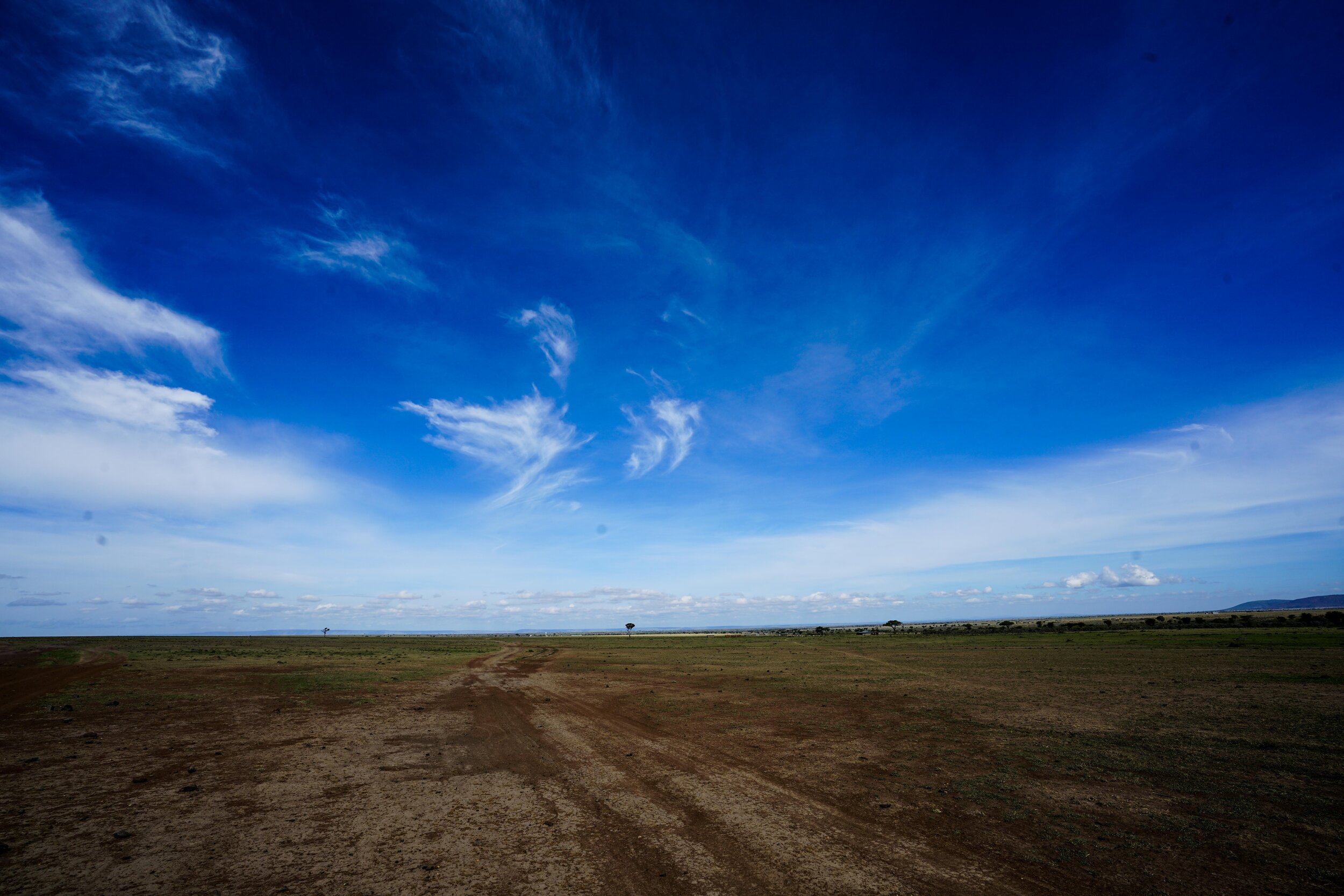  Day 6.  37.34 km.  106 m elevation gain.  1041 calories.   Today we are cruising across the border zones of the Mara.   
