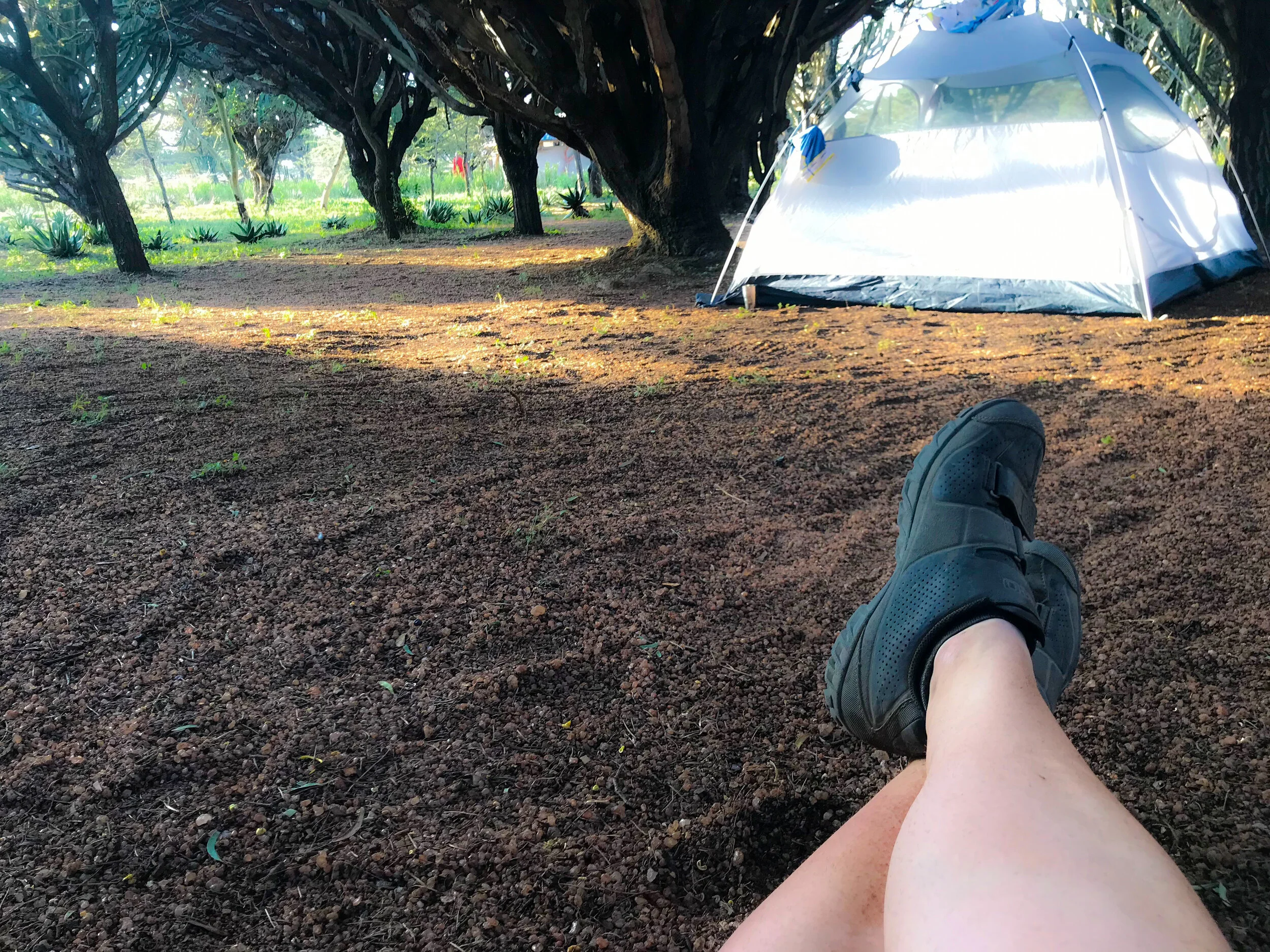  Back in my “three person” nylon HQ.  I like the rhythm of my routine.  I have a way of doing things.  I am at home in executing my plans.  