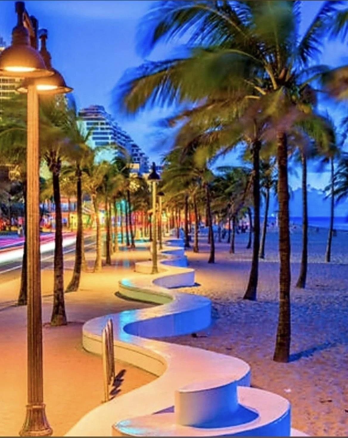 Fort Lauderdale Beach, palm trees, view.jpeg