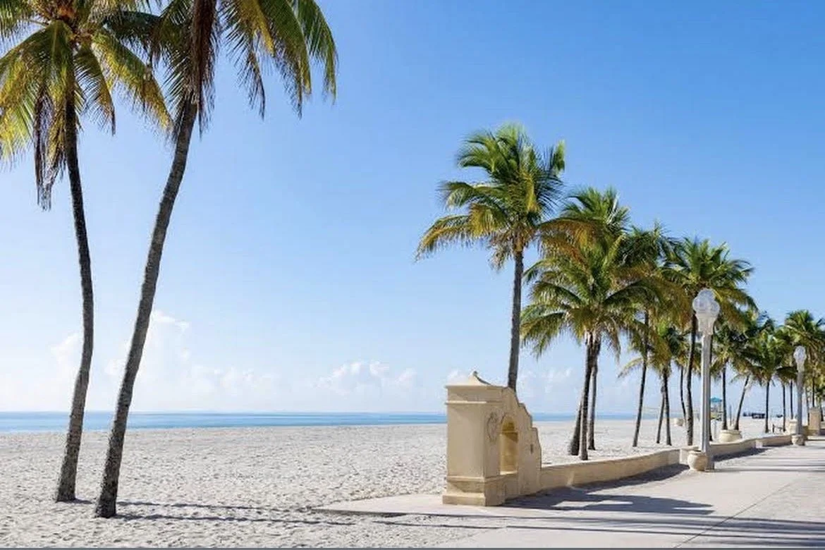 FL palm trees, ocean.jpeg