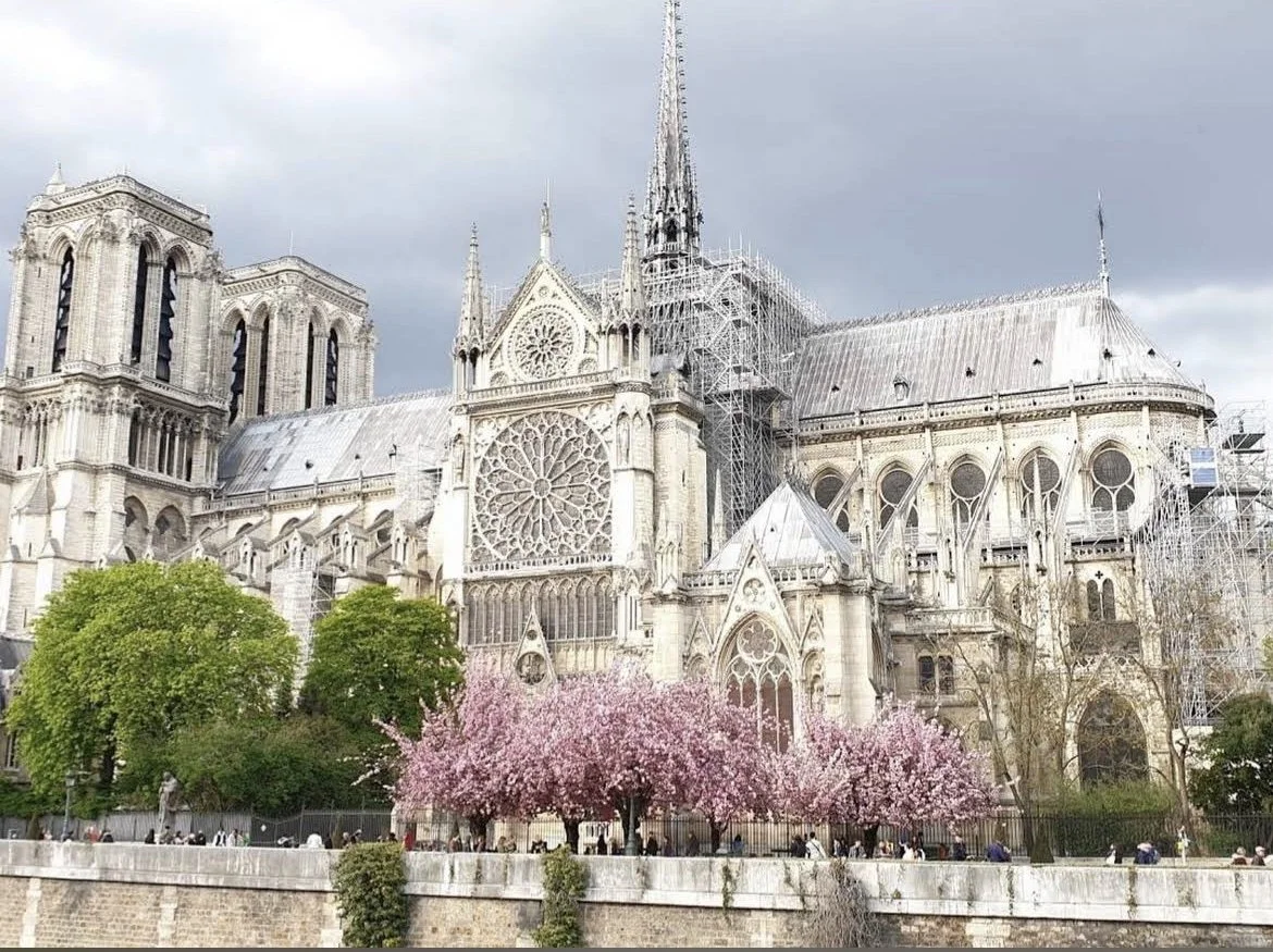 notre dame with flowers outside.jpg