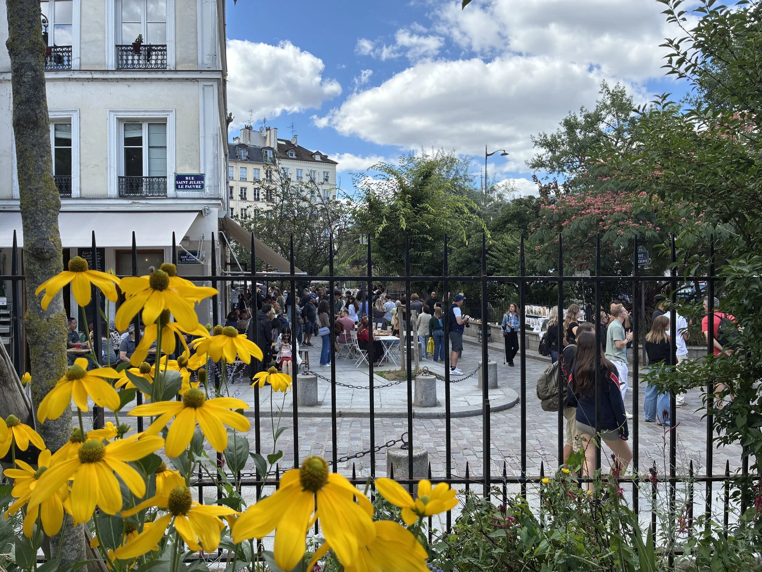 Yellow coneflowers courtyard by shakespeare and co.jpg