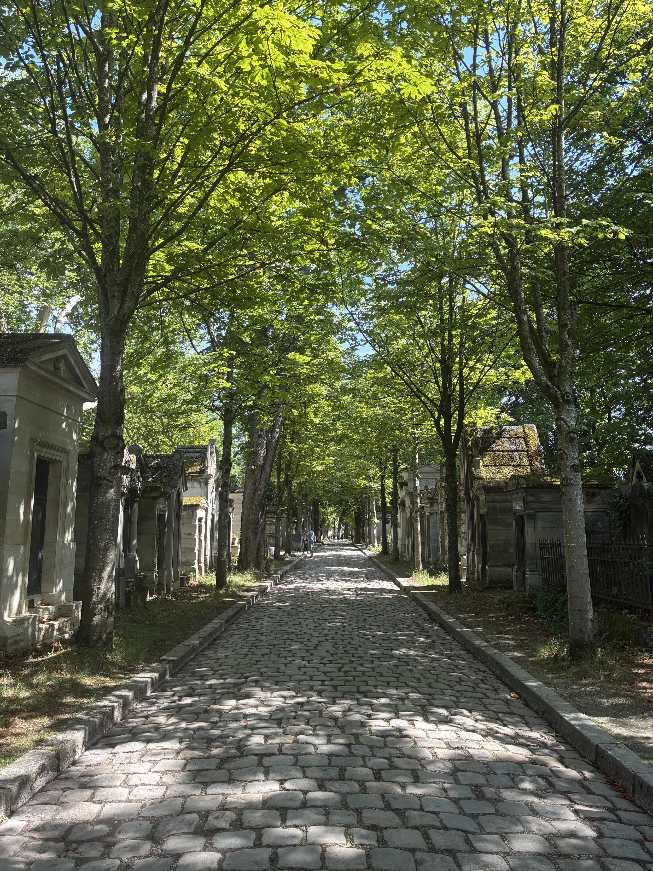 cemetery walkway with trees.jpg