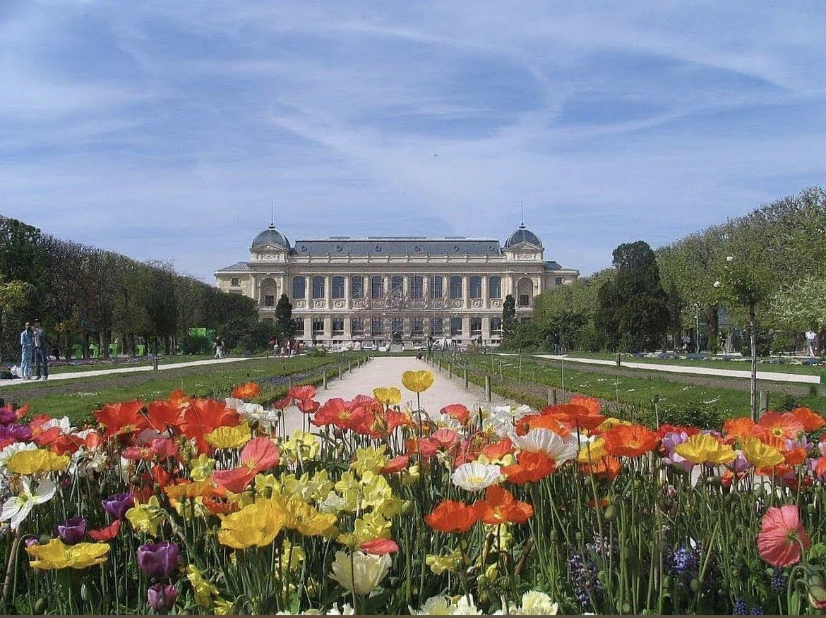 jardin  des plantes.jpg