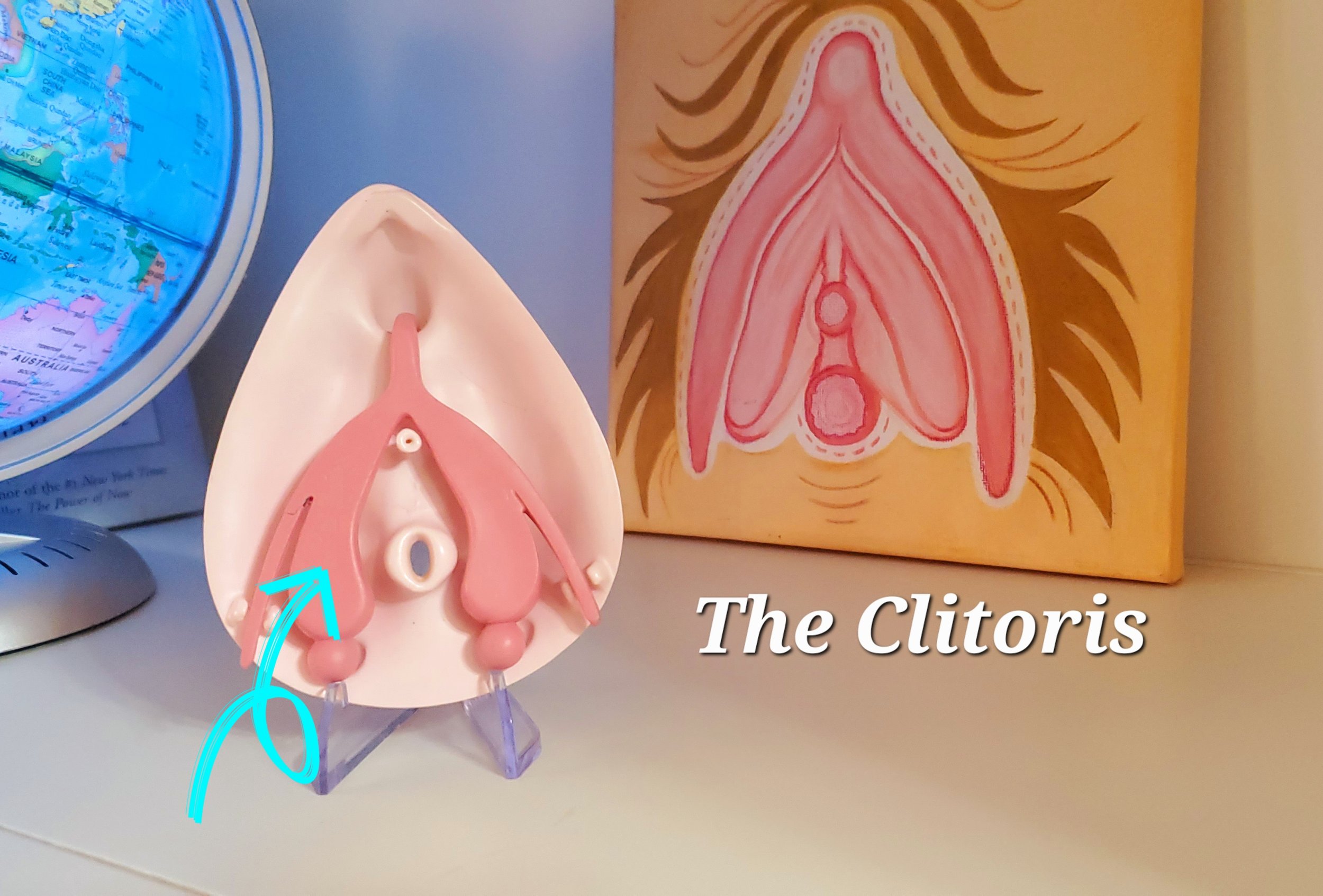 clitoris.jpg