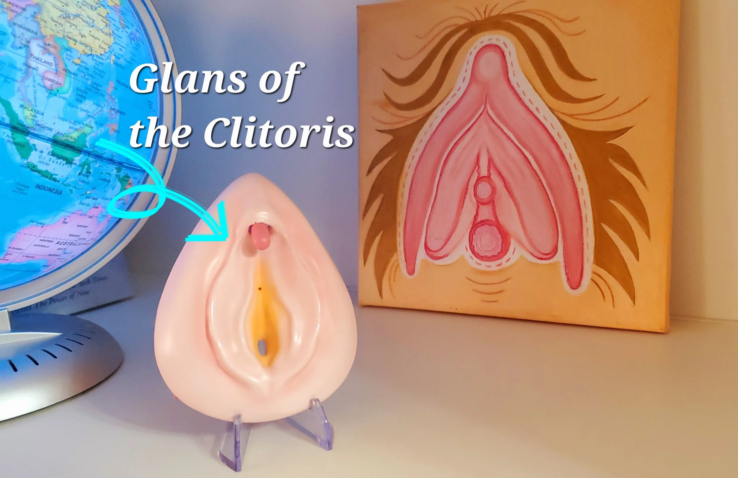 glans of clitoris.jpg