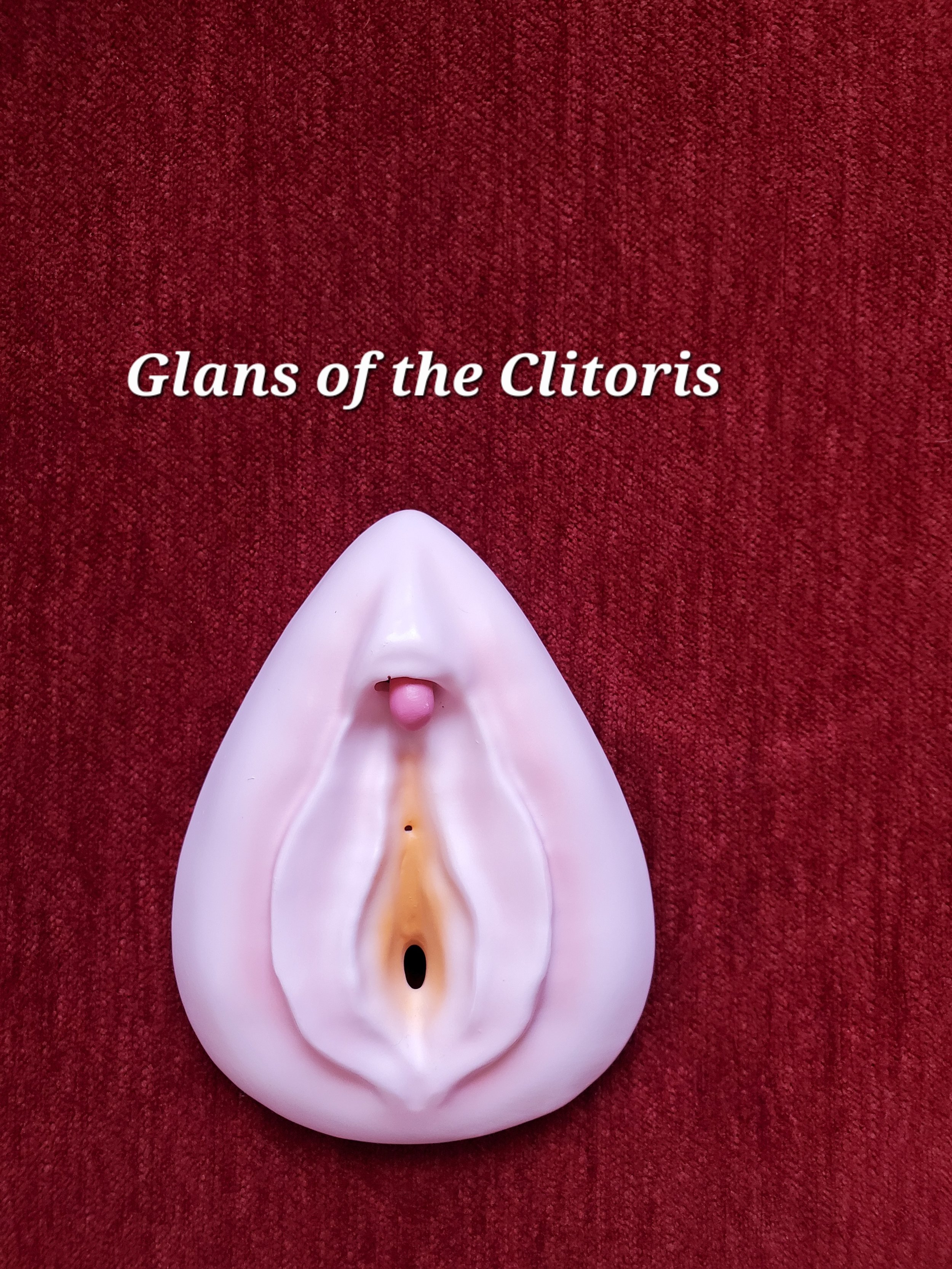 An anatomical model of the clitoris, featuring the glans, vulva, and vaginal opening.