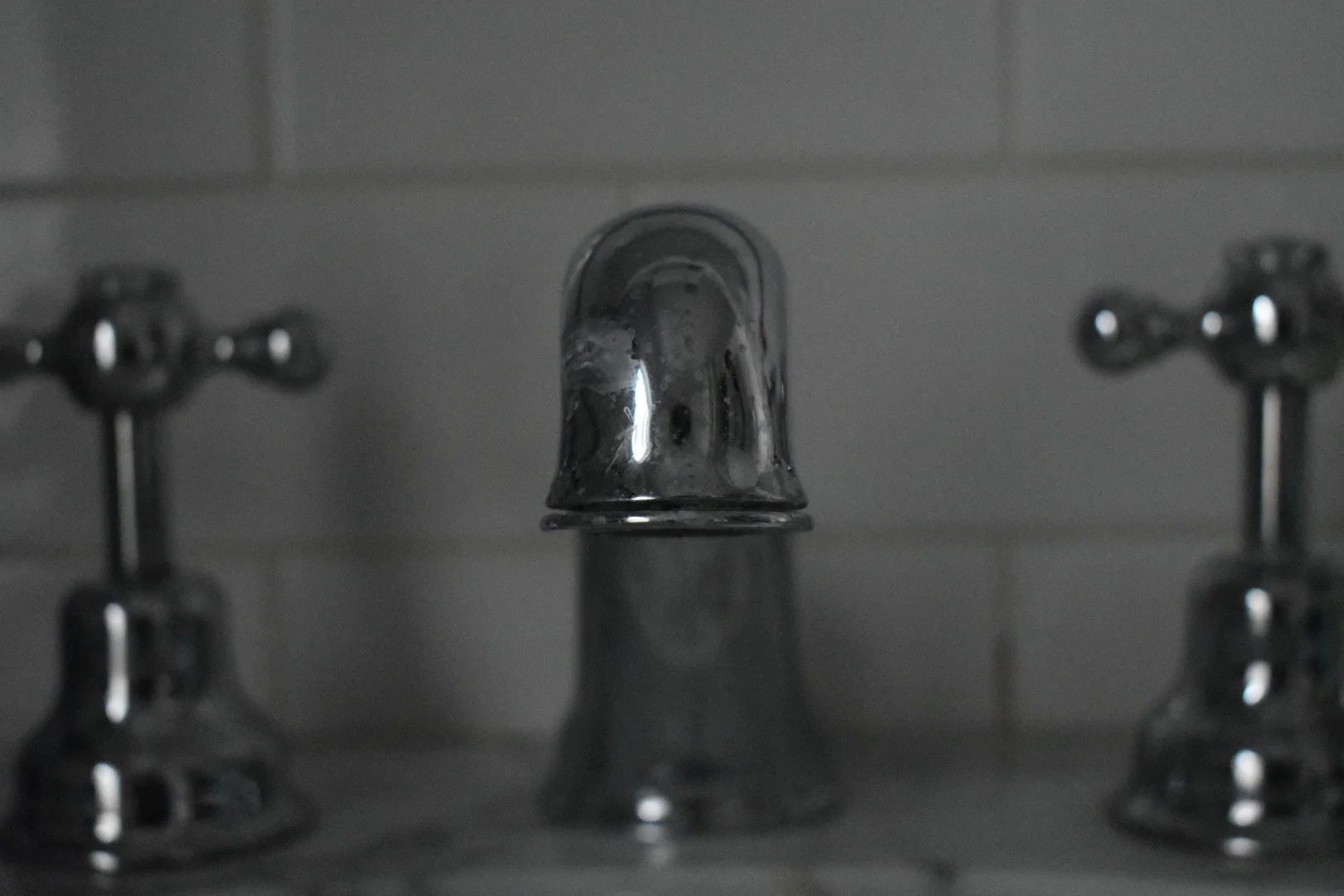DSC_0230.jpg