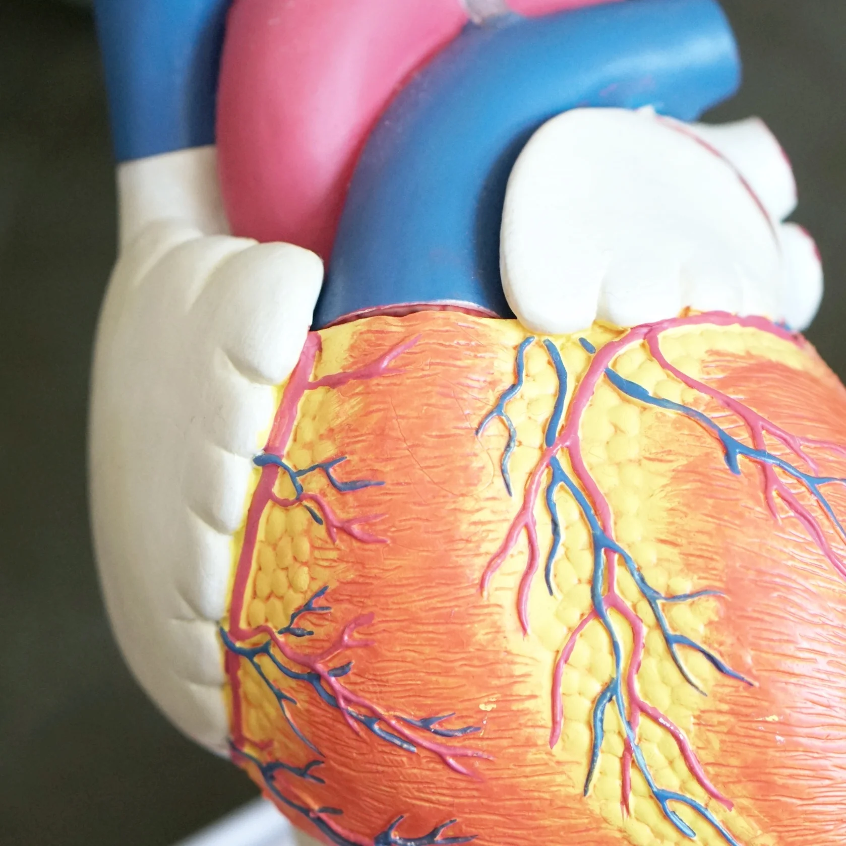 Parliament: We can and must do more to tackle Atrial Fibrillation