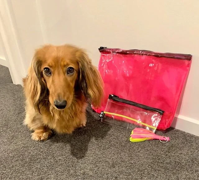 If this doesn't melt your heart I don't know what will!! Meet Frank, I Used To Be's latest ambassador! Thanks @leteshag for the pic! ⁣
⁣
We love to see how you are using your bags, so don't forget to tag us when you are out in the wild! ⁣
⁣
#iusedtobeapooltoy #sustainableliving #madeinnz #repurposed #frank #dogsofinstagram