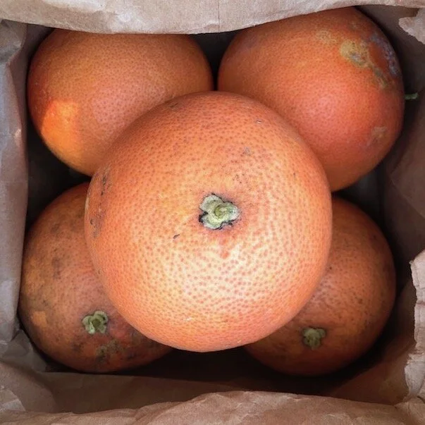 06.18.20 Ruby Red Grapefruit