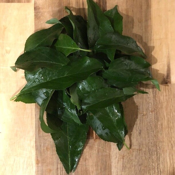 plumleaftea1_arugulaforest_christinefoerster.jpg