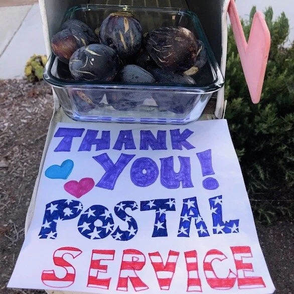 08.25.20 Figs for our Postman