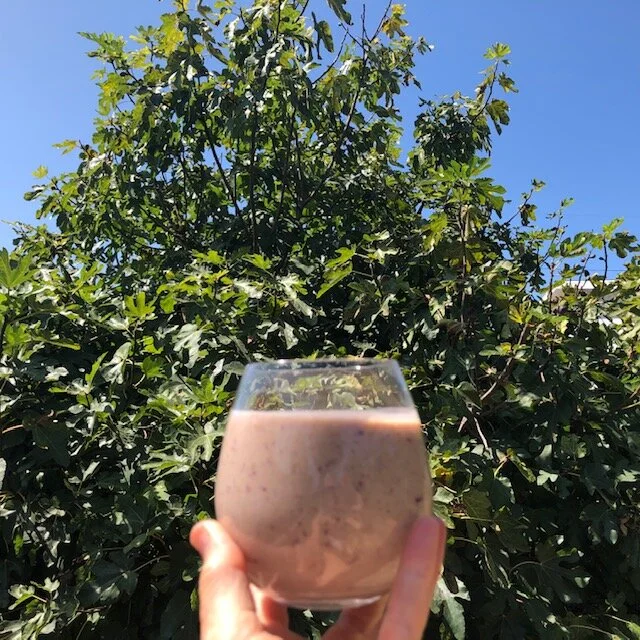 figsmoothie3_arugulaforest_christinefoerster.jpg