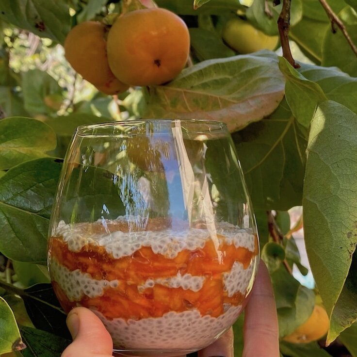persimmonchiapudding1_arugulaforest_christinefoerster.jpeg
