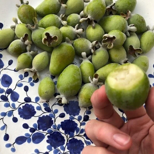 11.14.20 Exquisite Pineapple Guavas