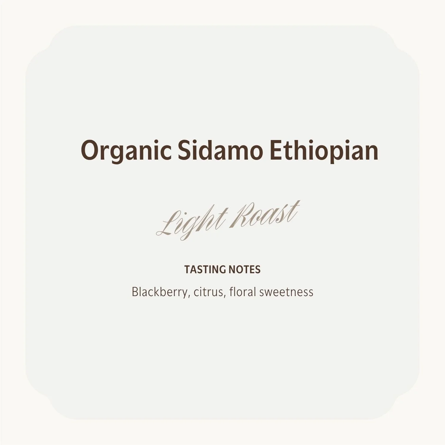 Sidamo Ethiopian.jpg
