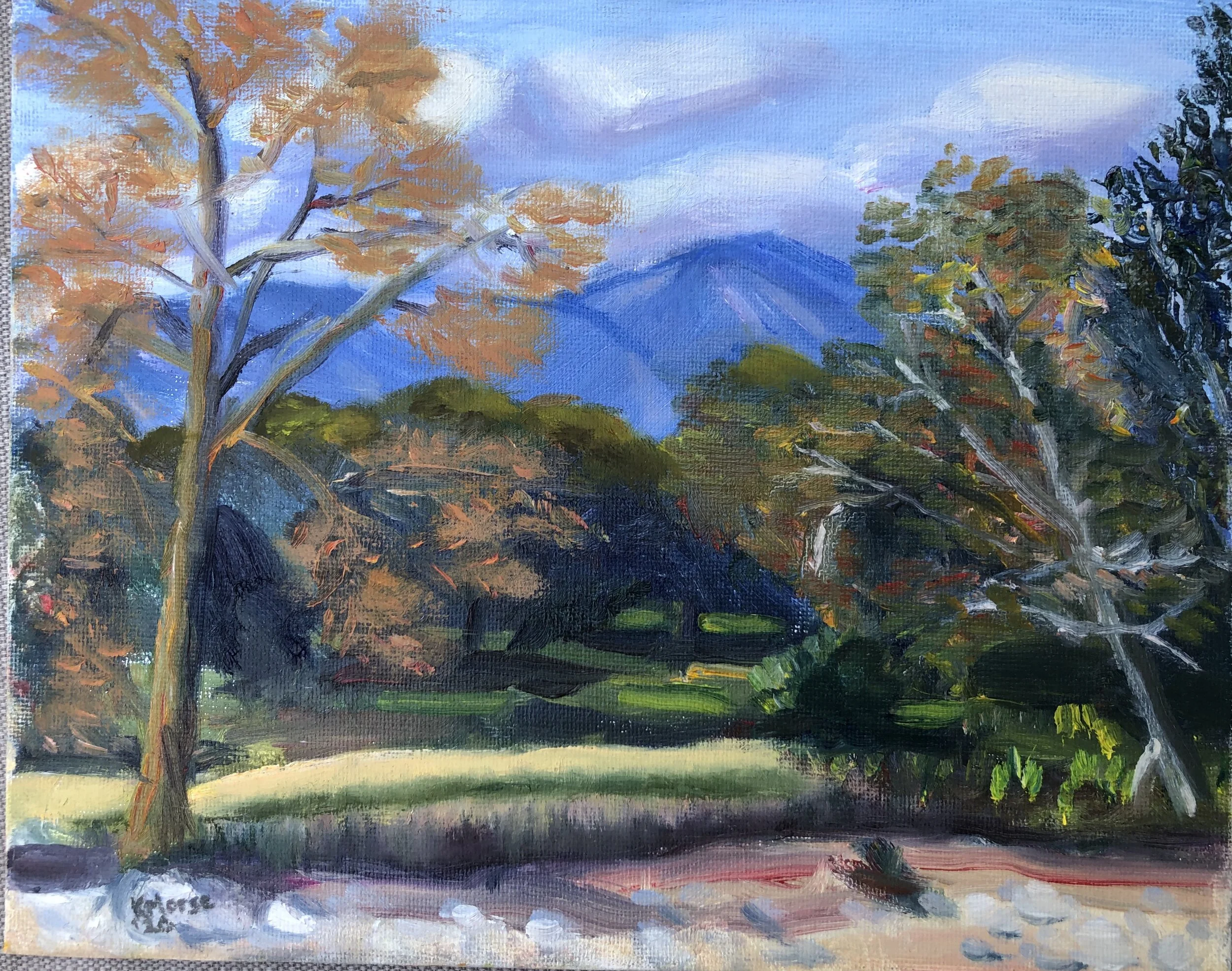 View of San Gabriels, Wilderness Park.
