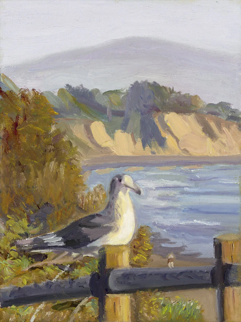 Seagull,+Overlook+Park,+Summerland+-+Late+Fall.jpg
