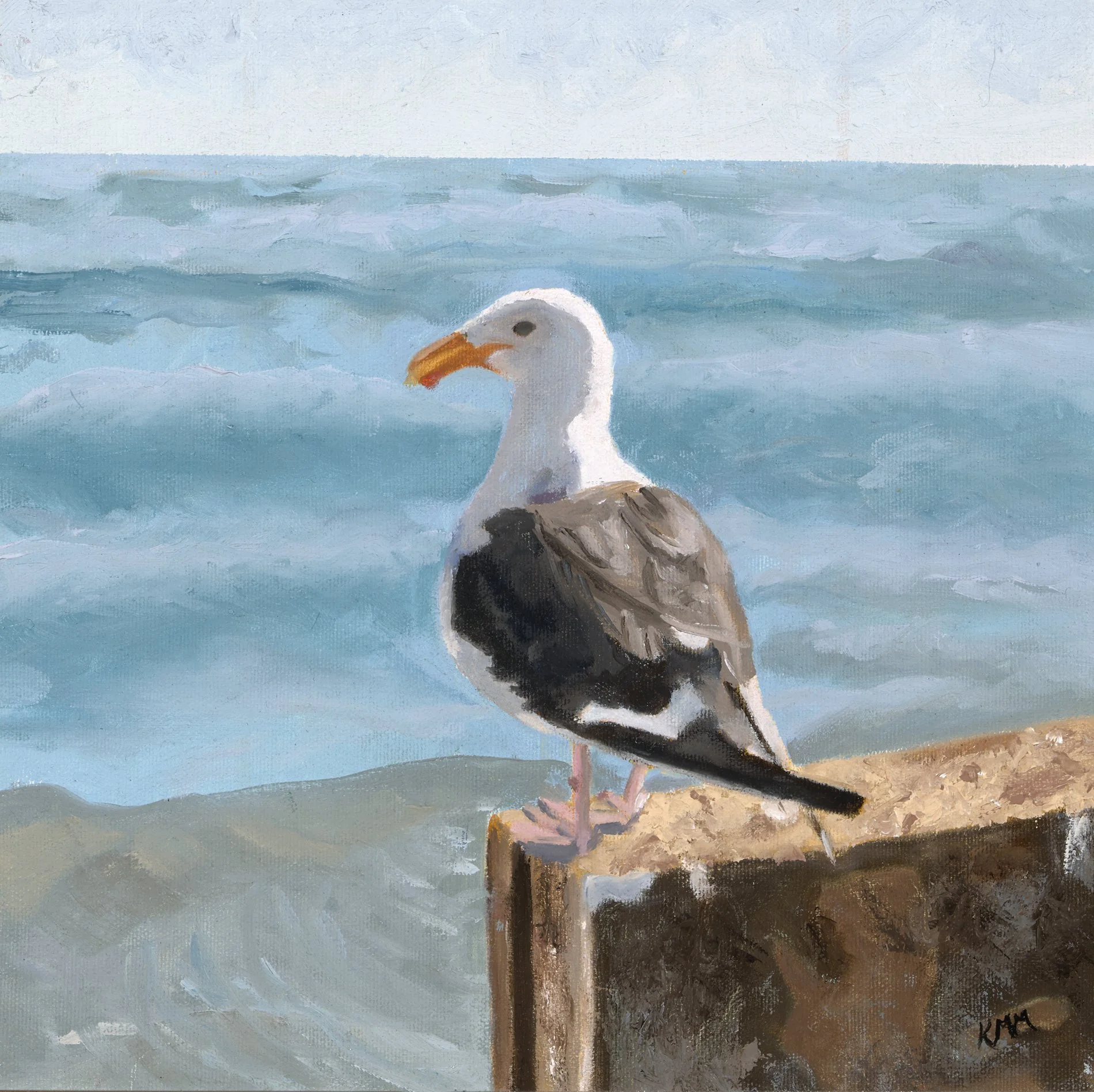 Seagull