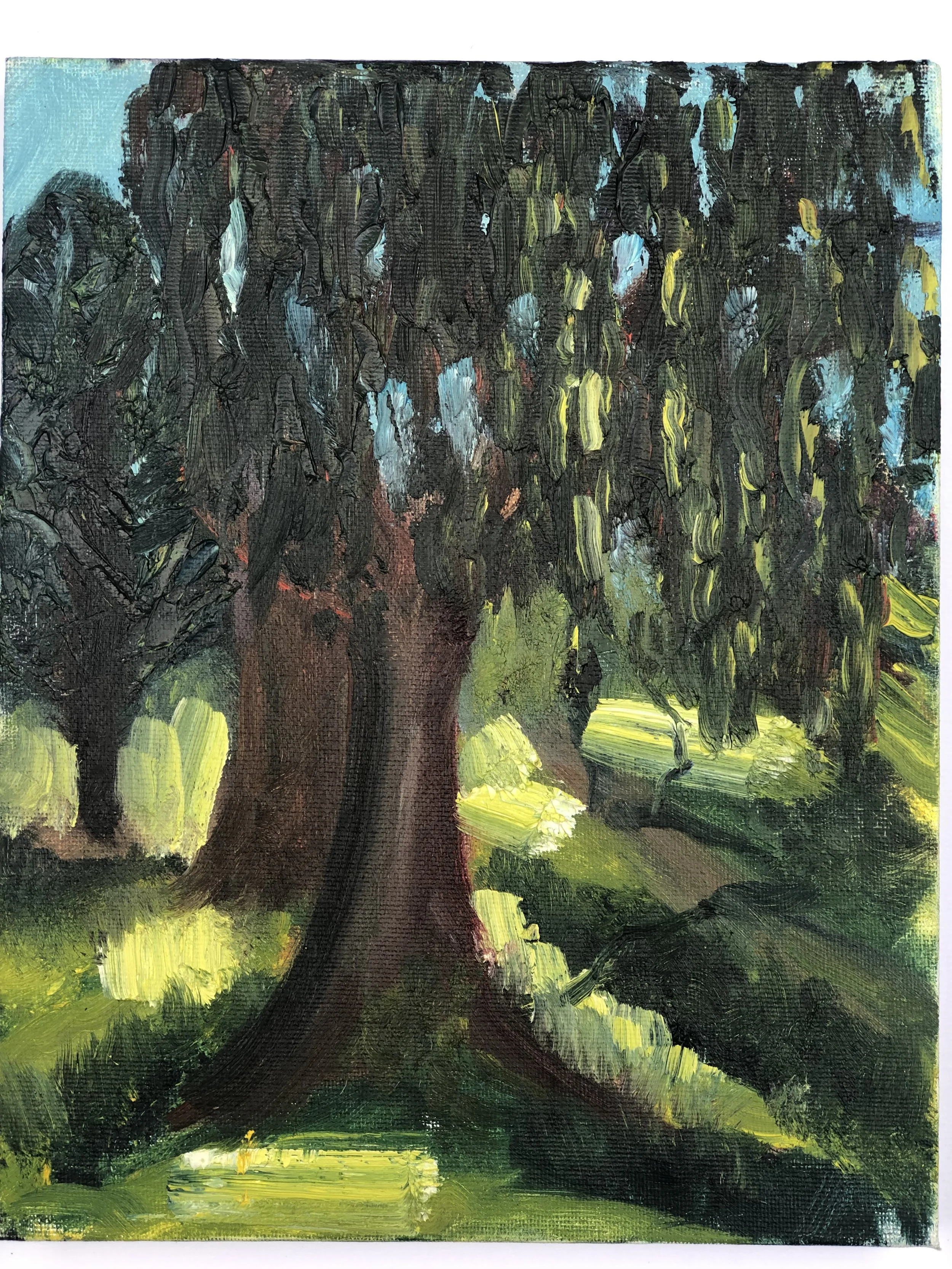 Arroyo in Spring