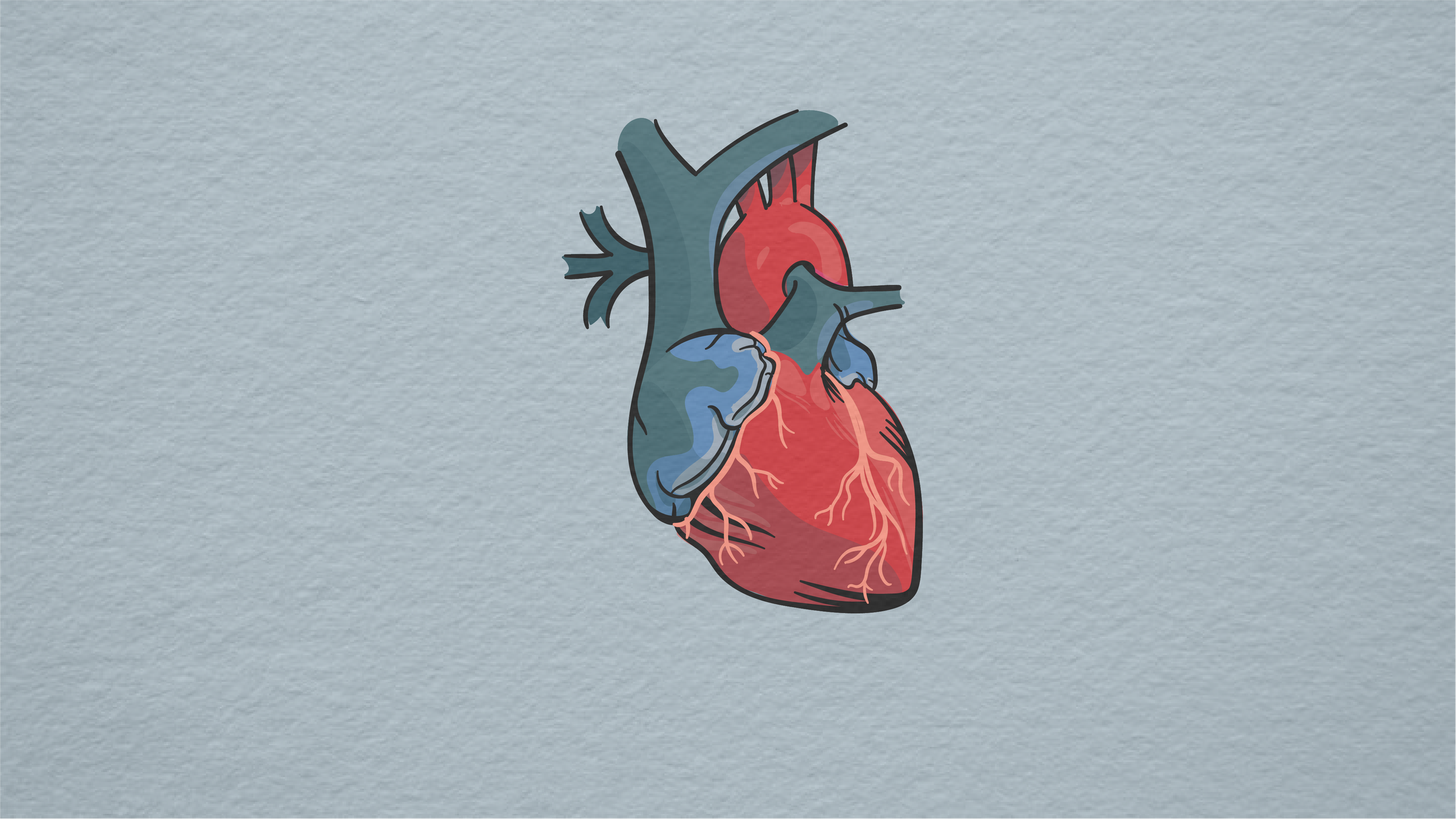 Signs &amp; Symptoms: Heart Attack