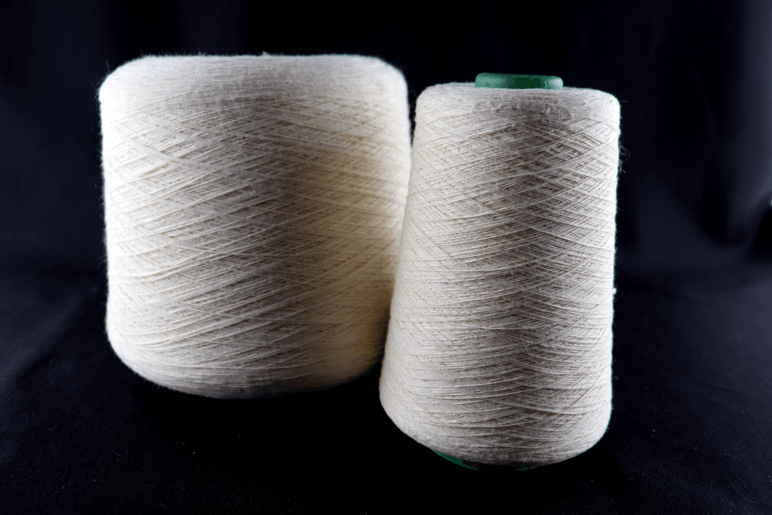 Aegean Extra-Long Single ply Cotton