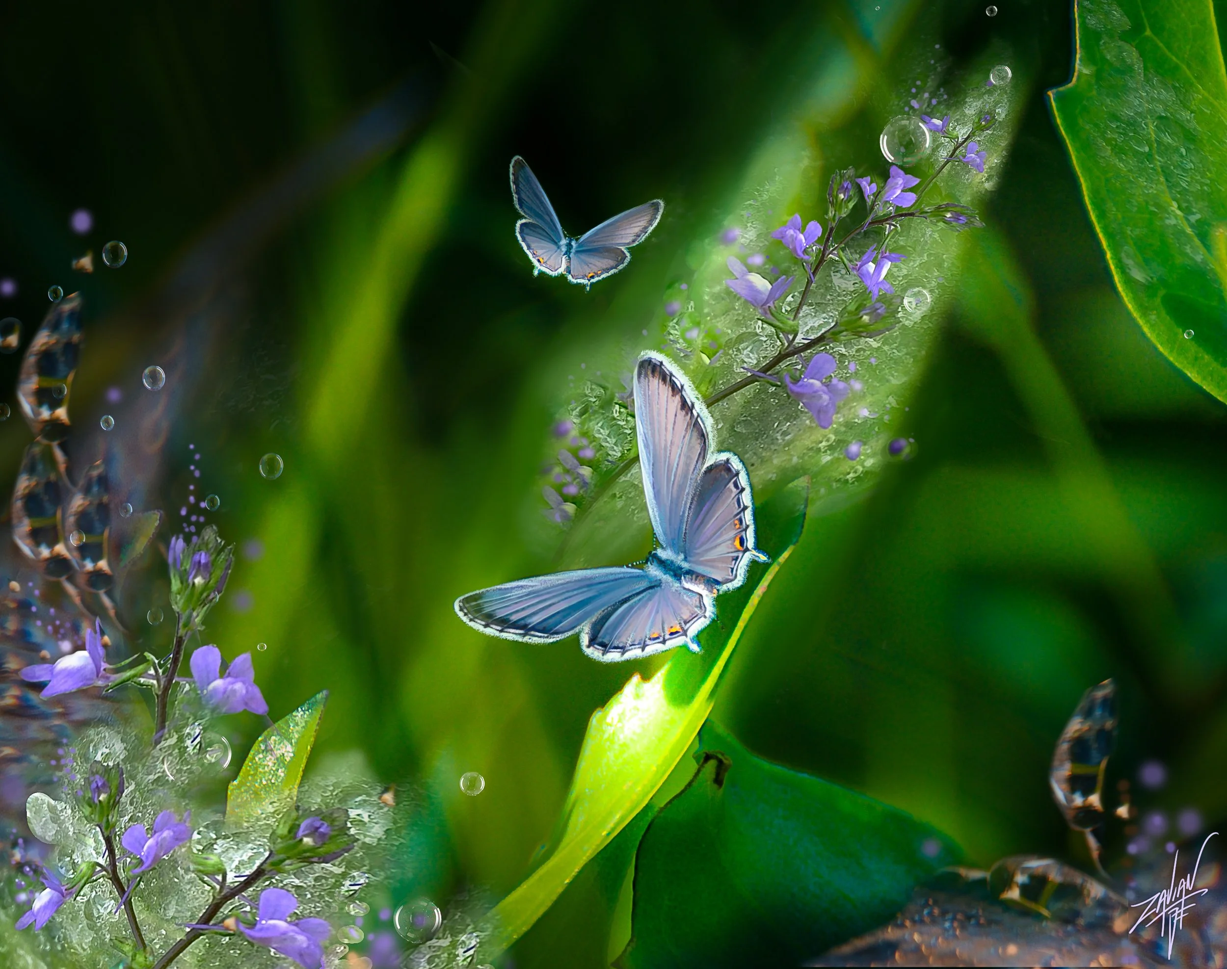 Winged Exotica #6