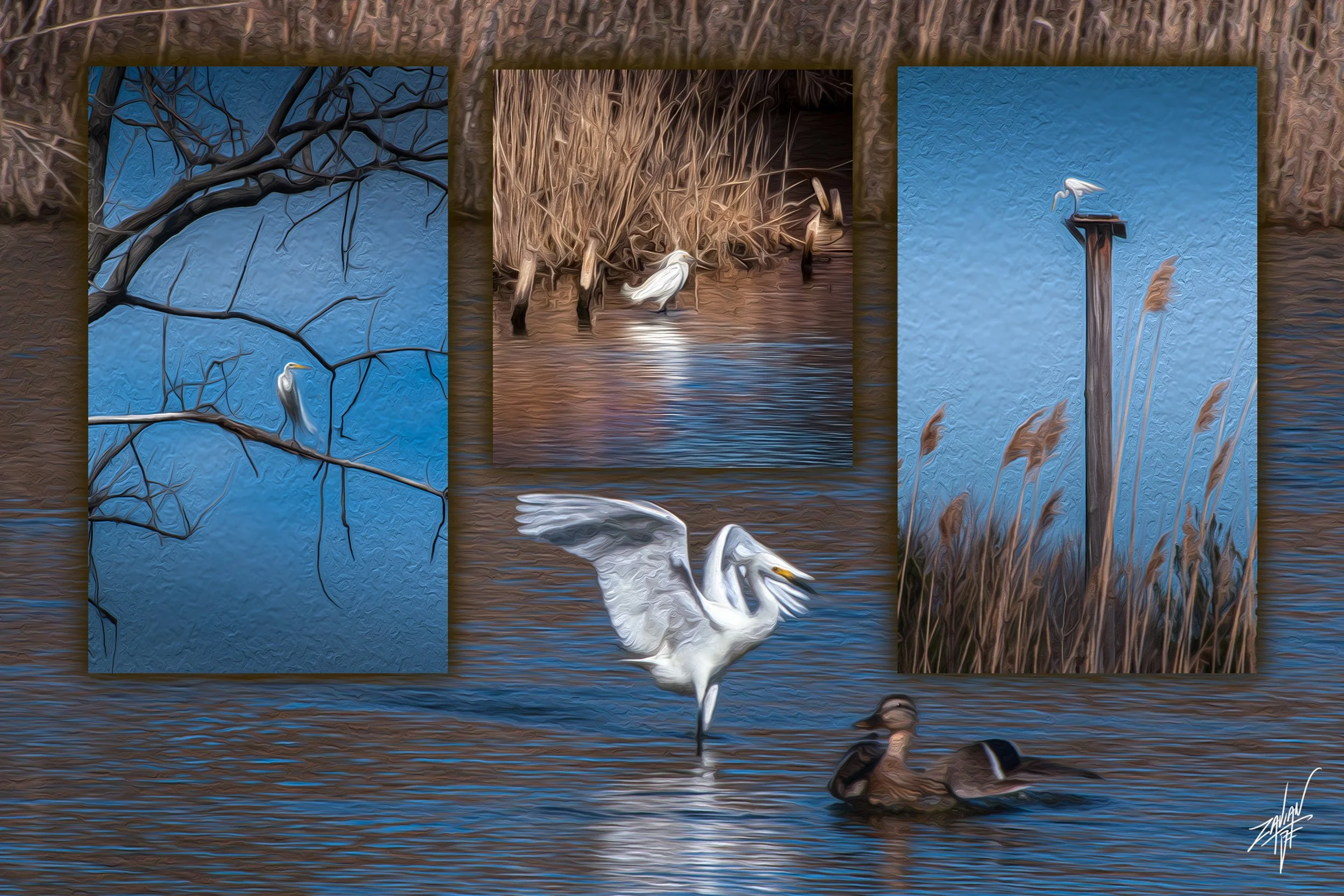 Egret Triptych
