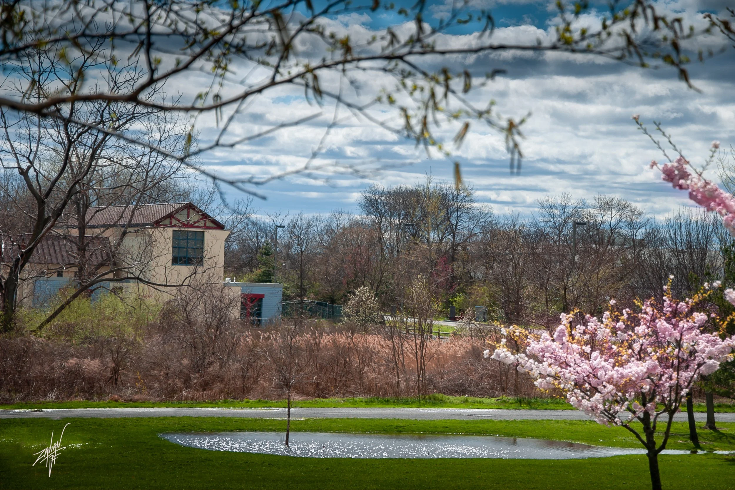 Liberty State Park "Season of Spring" #4