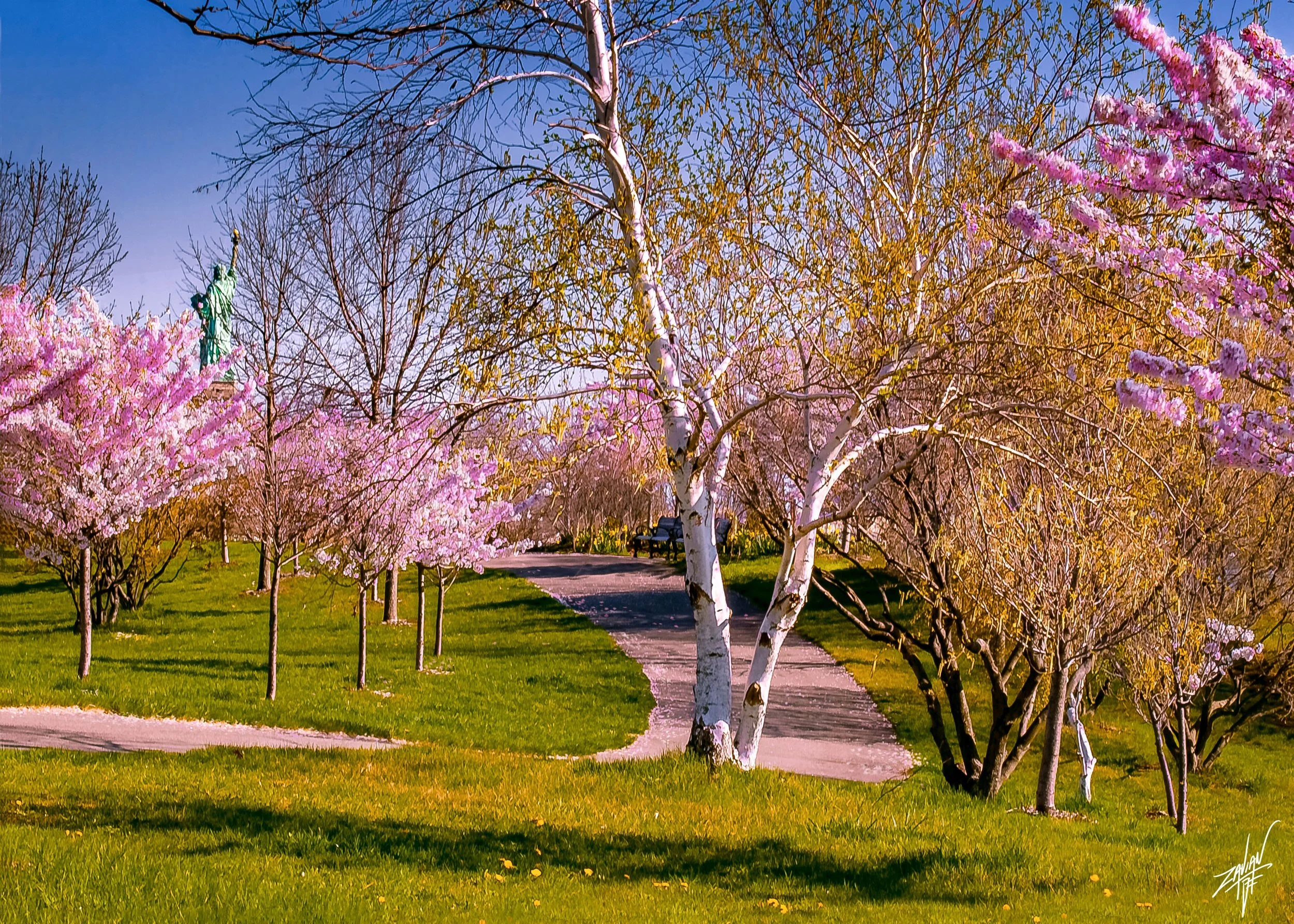 Liberty State Park "Season of Spring" #5