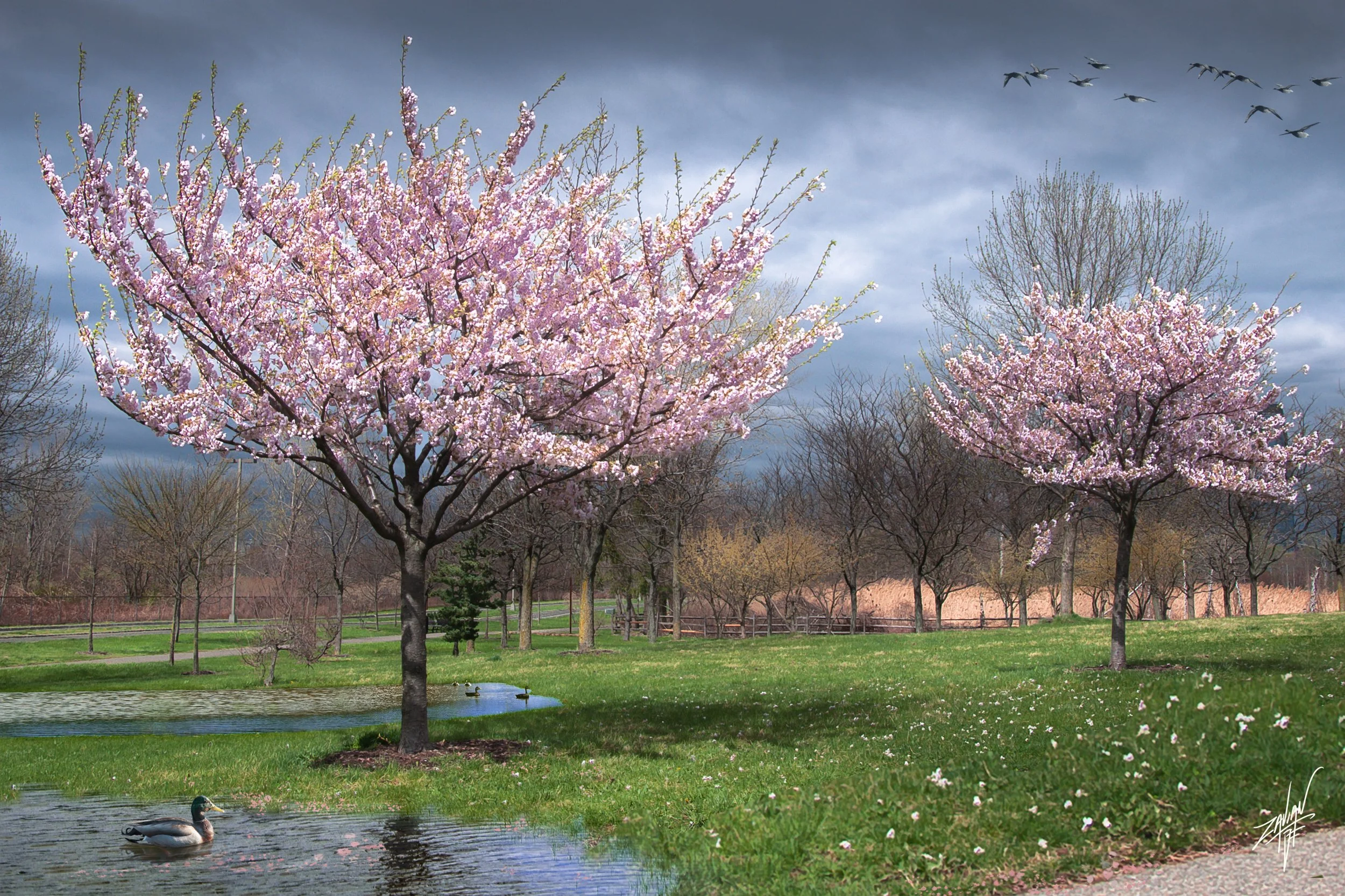 Liberty State Park "Season of Spring" #6