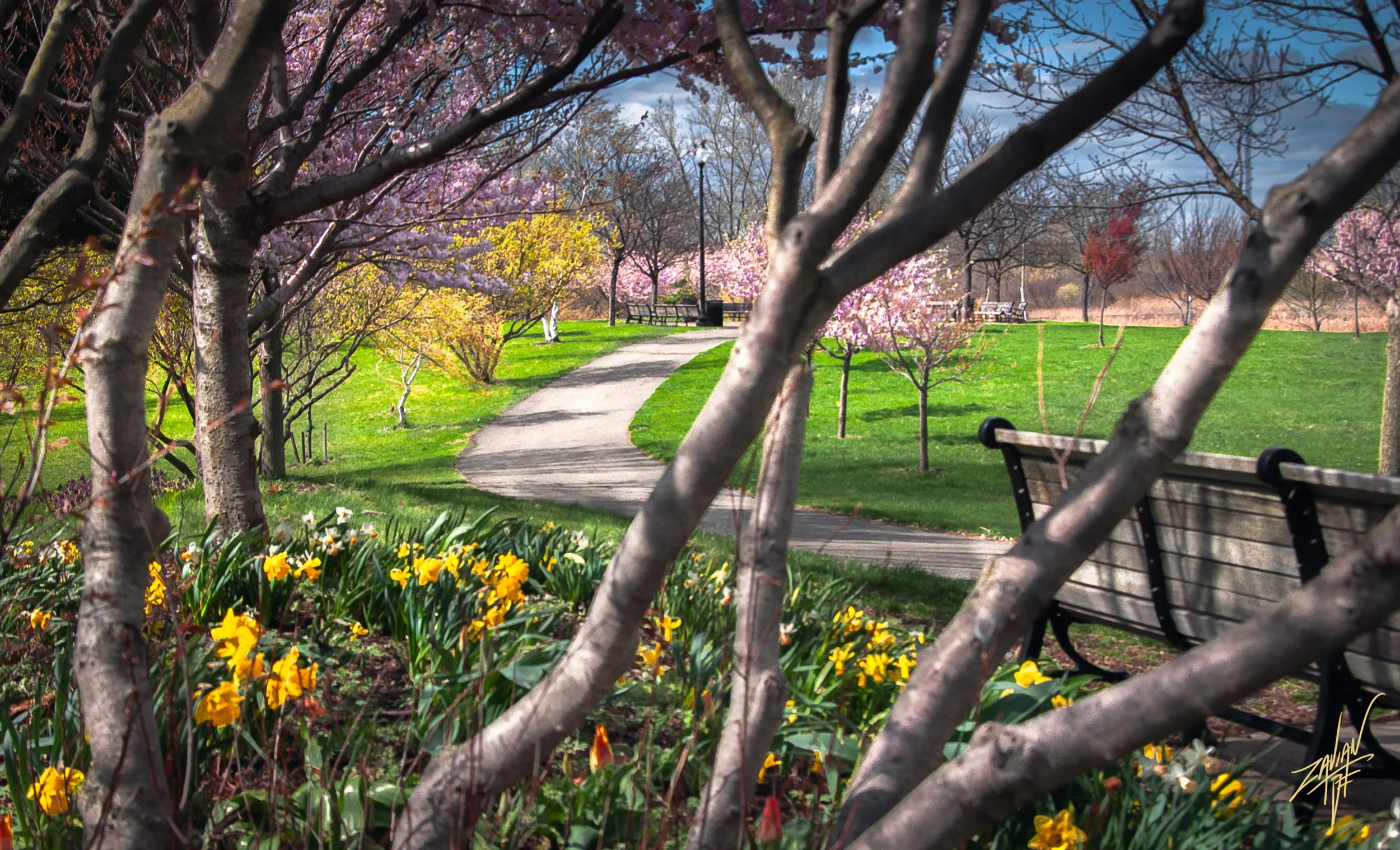 Liberty State Park "Season of Spring"#9