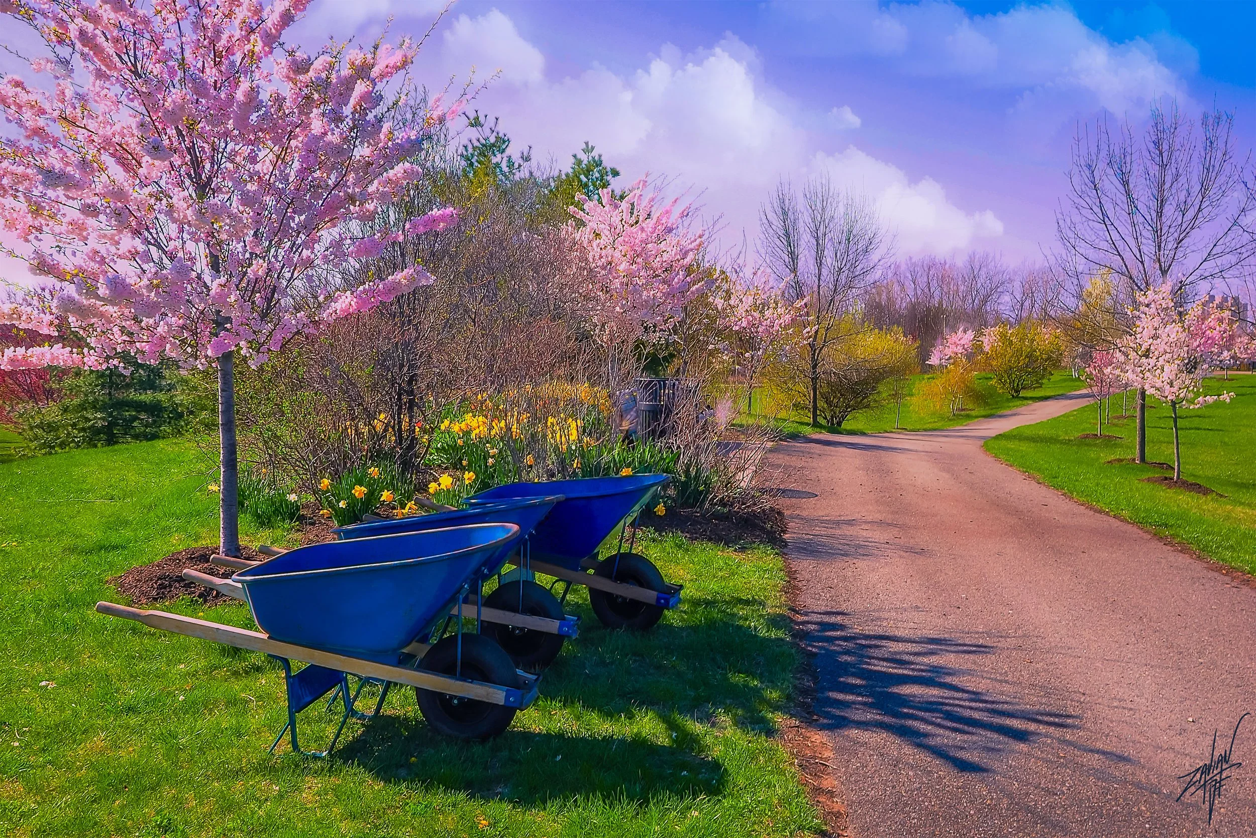 Liberty State Park "Season of Spring" Blue Wheel Barrels