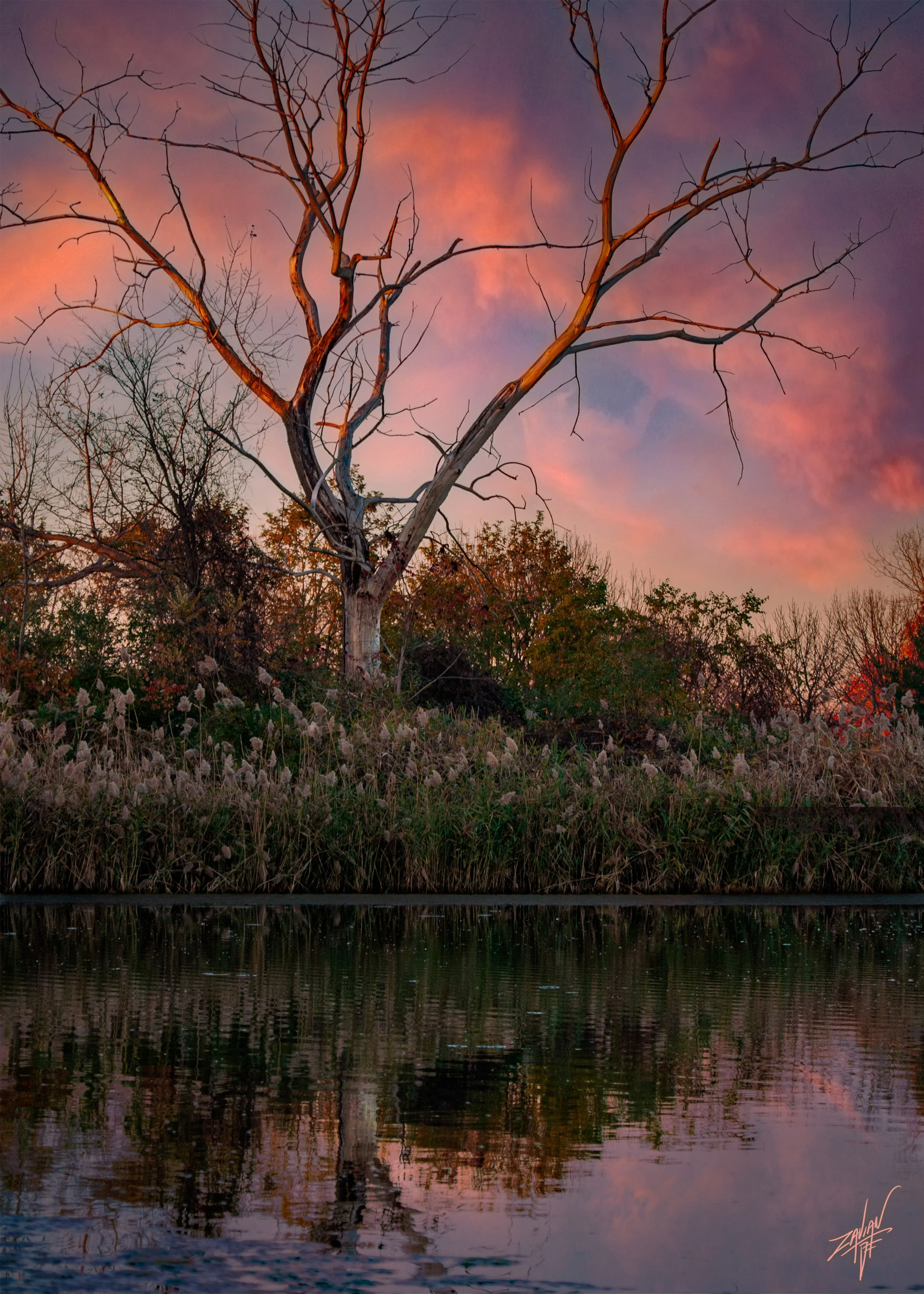 Liberty State Park "Season of Spring" Early Spring Sunset