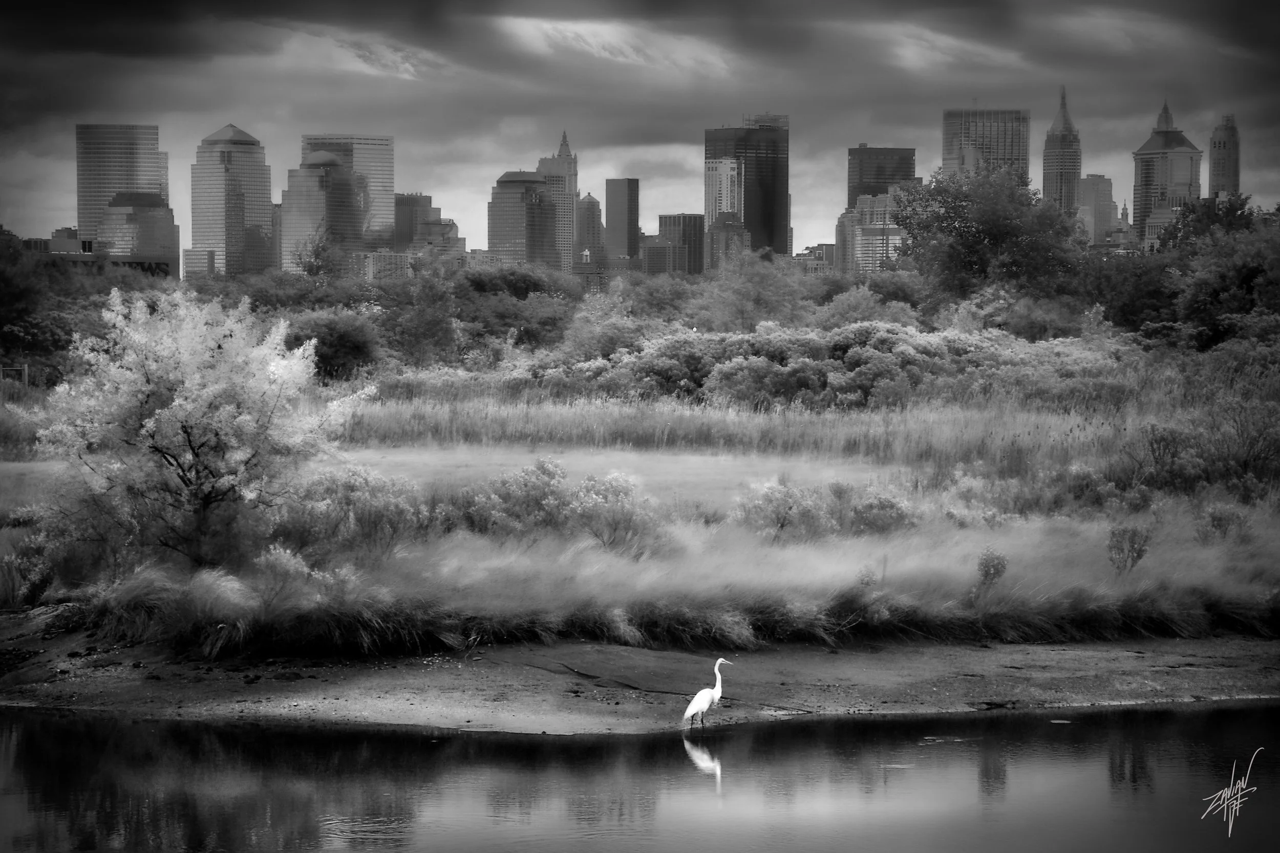Liberty State Park "Season of Summer" Caven Point Egret