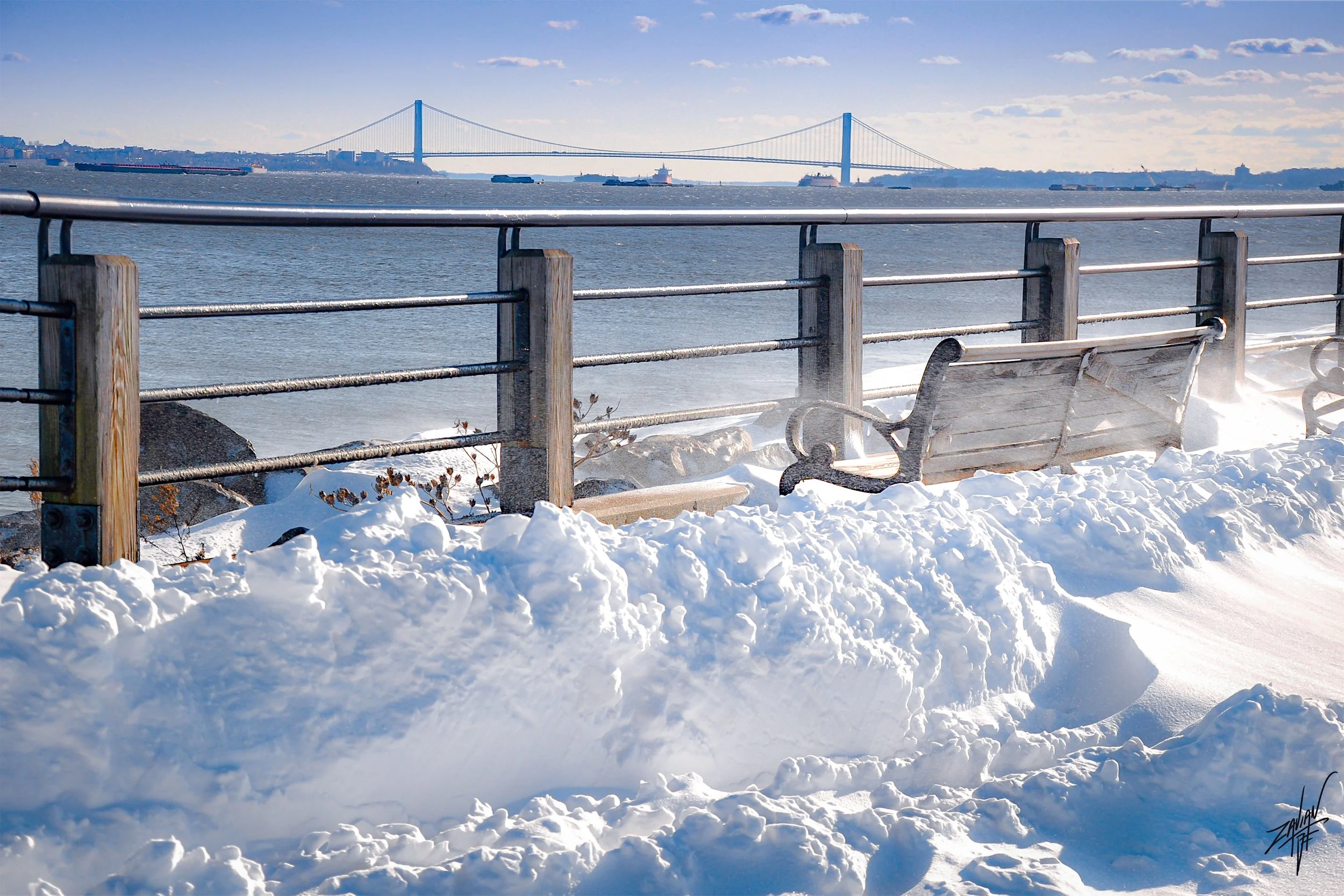 Liberty State Park "Season of Winter" #18