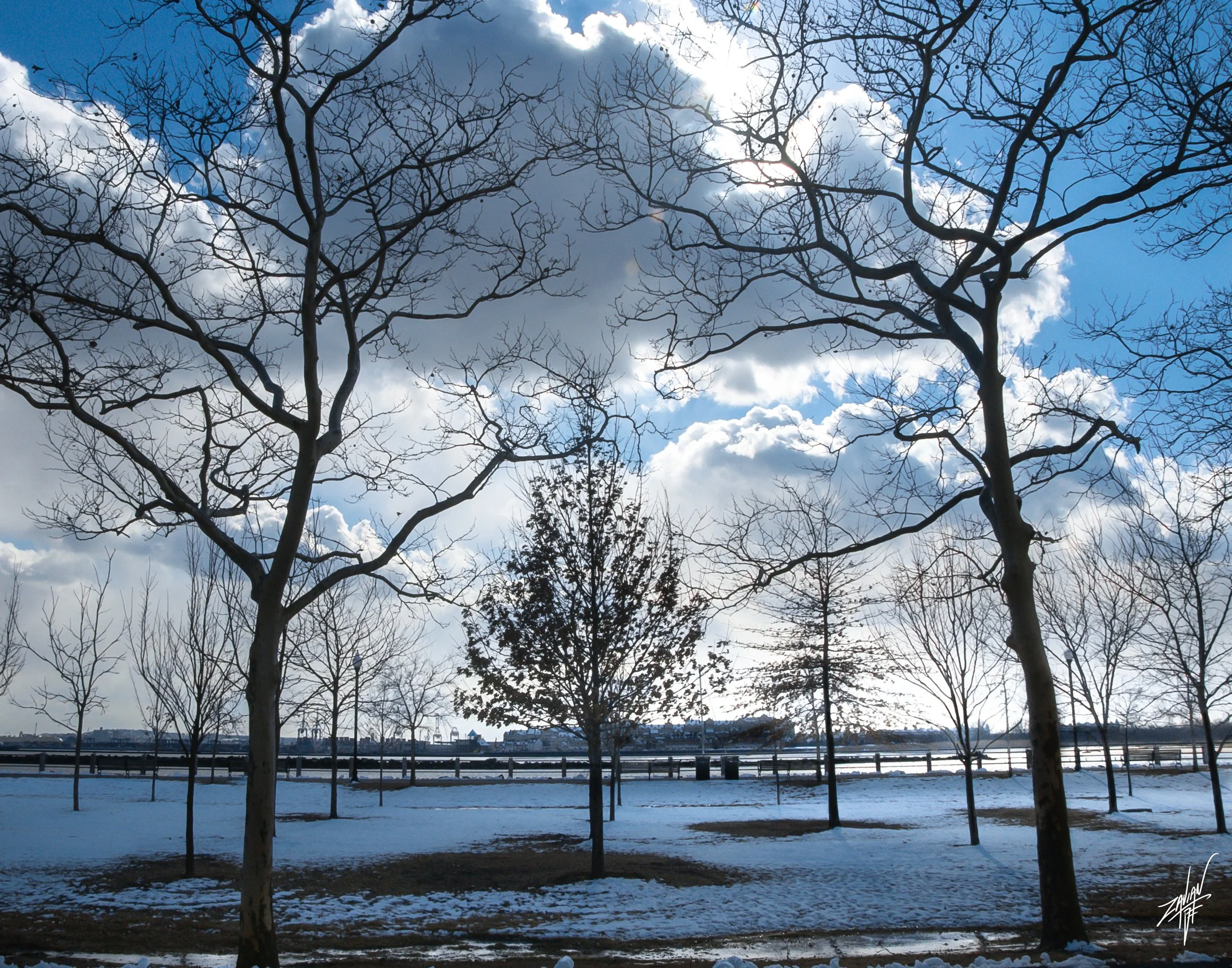 Liberty State Park "Season of Winter" #7