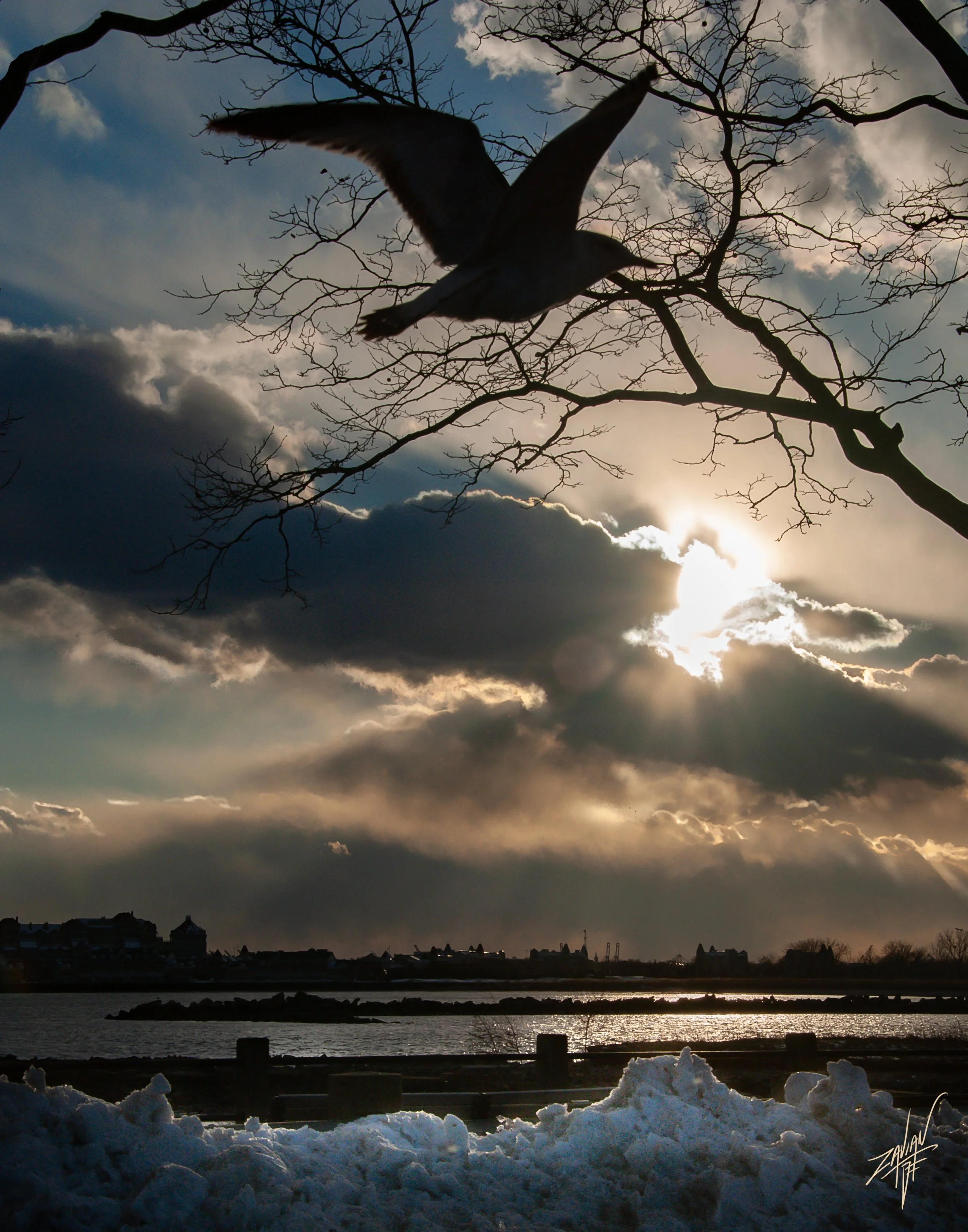 Liberty State Park "Season of Winter" Silhouette