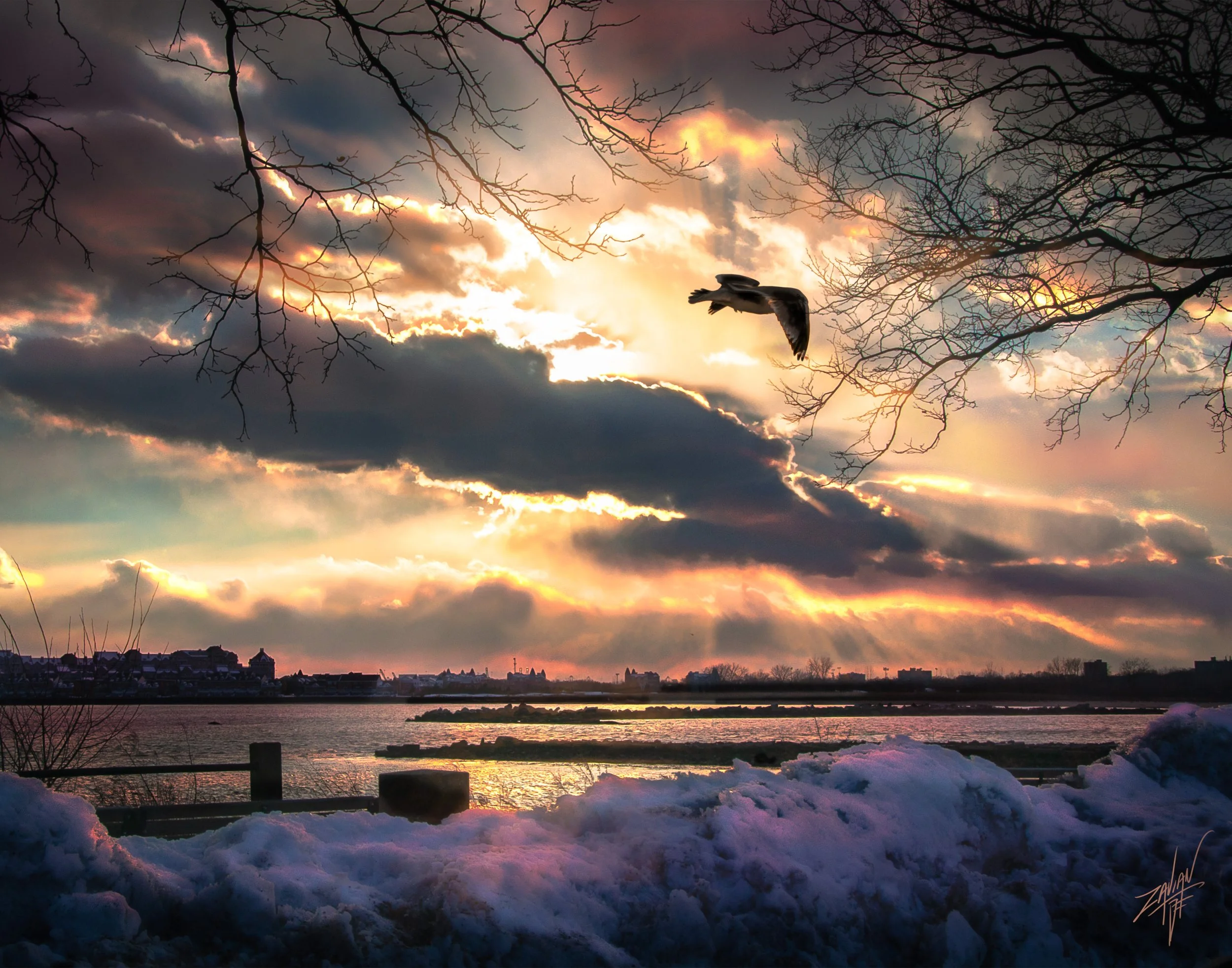 Liberty State Park "Season of Winter" Sunset Flight
