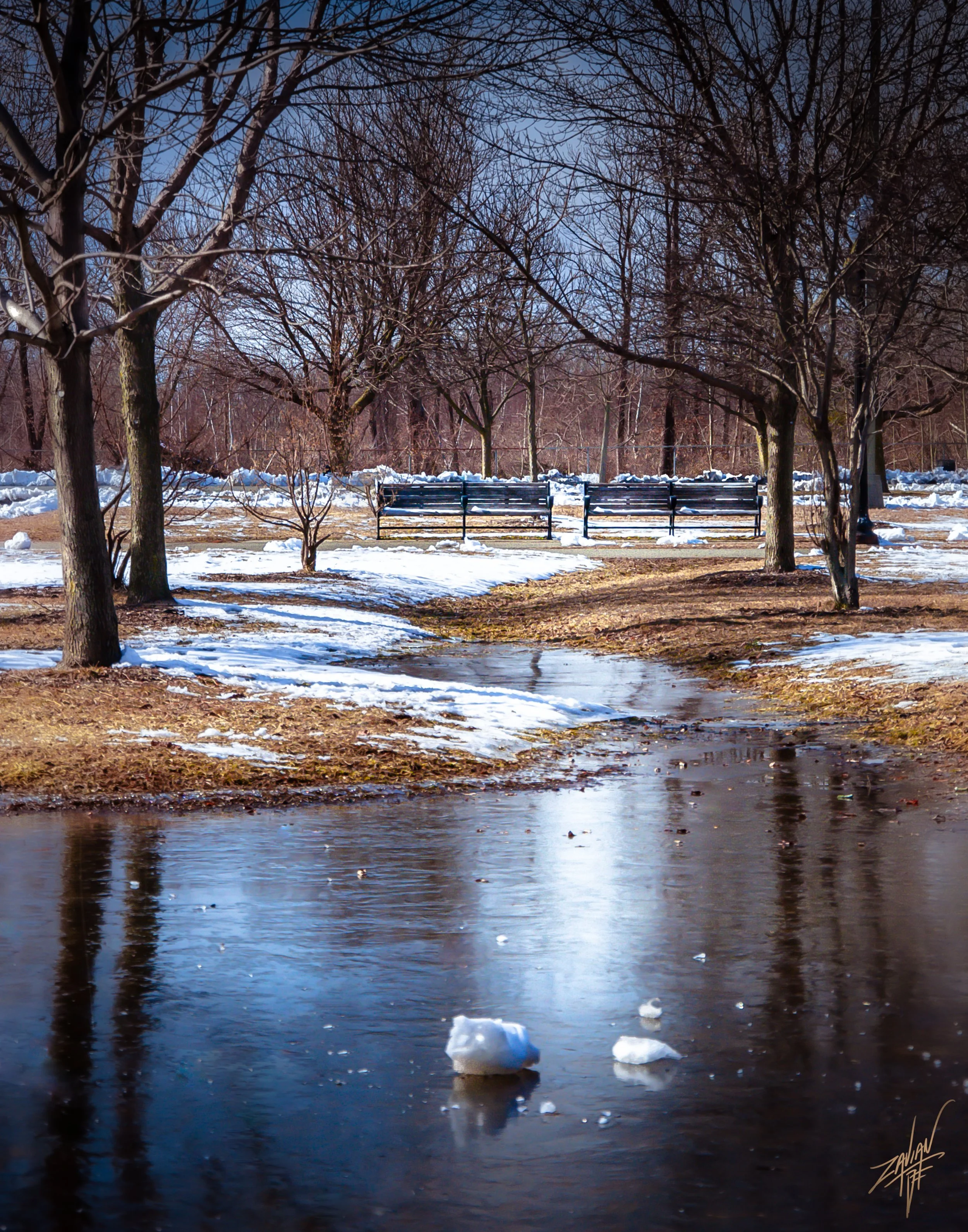Liberty State Park "Season of Winter" Frozen Puddle