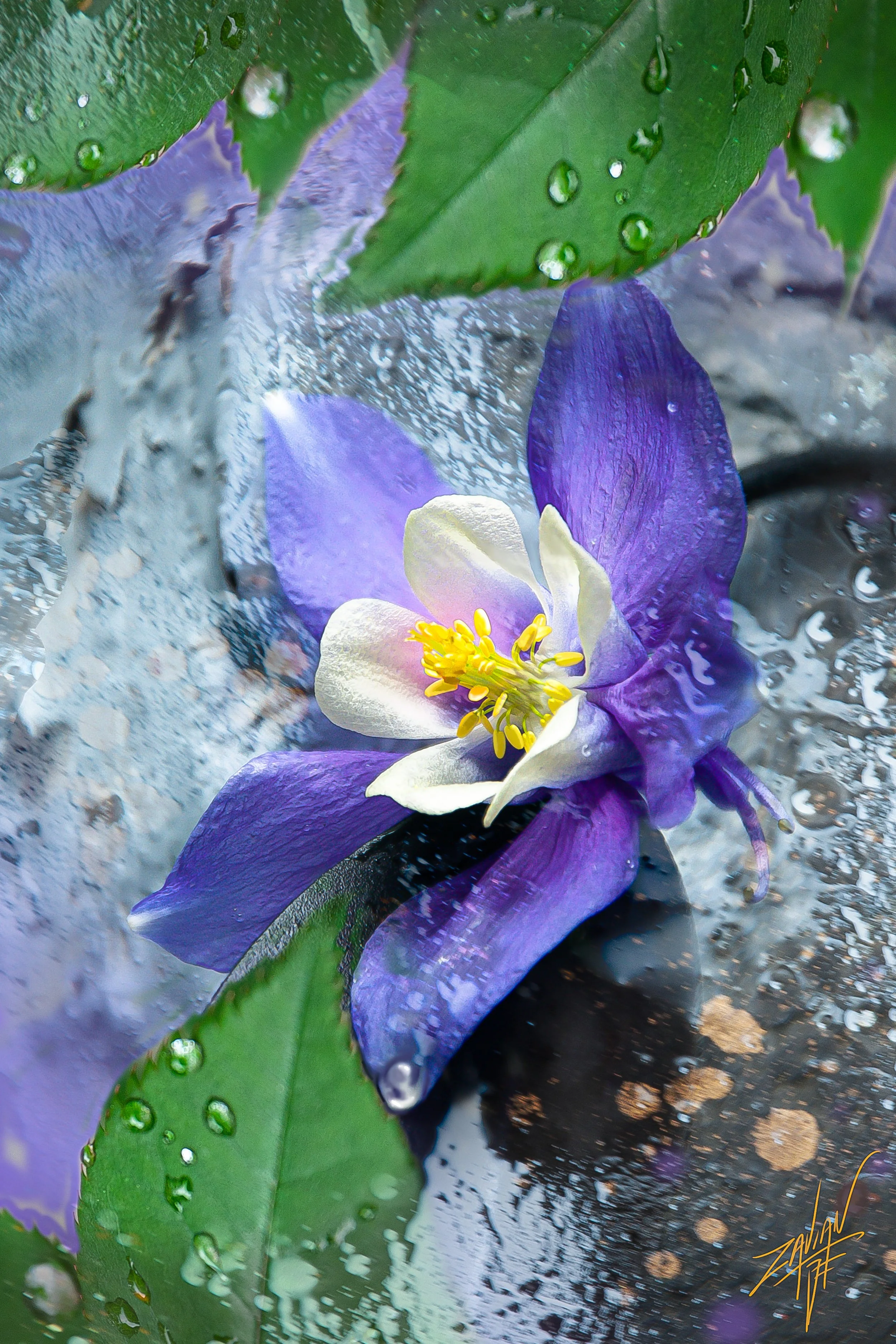 Celestial Botanicals #28