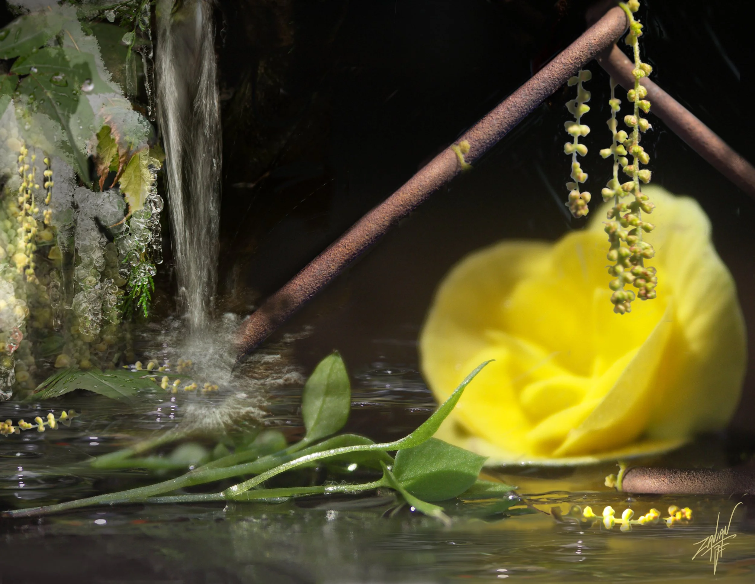 Celestial Botanicals #29